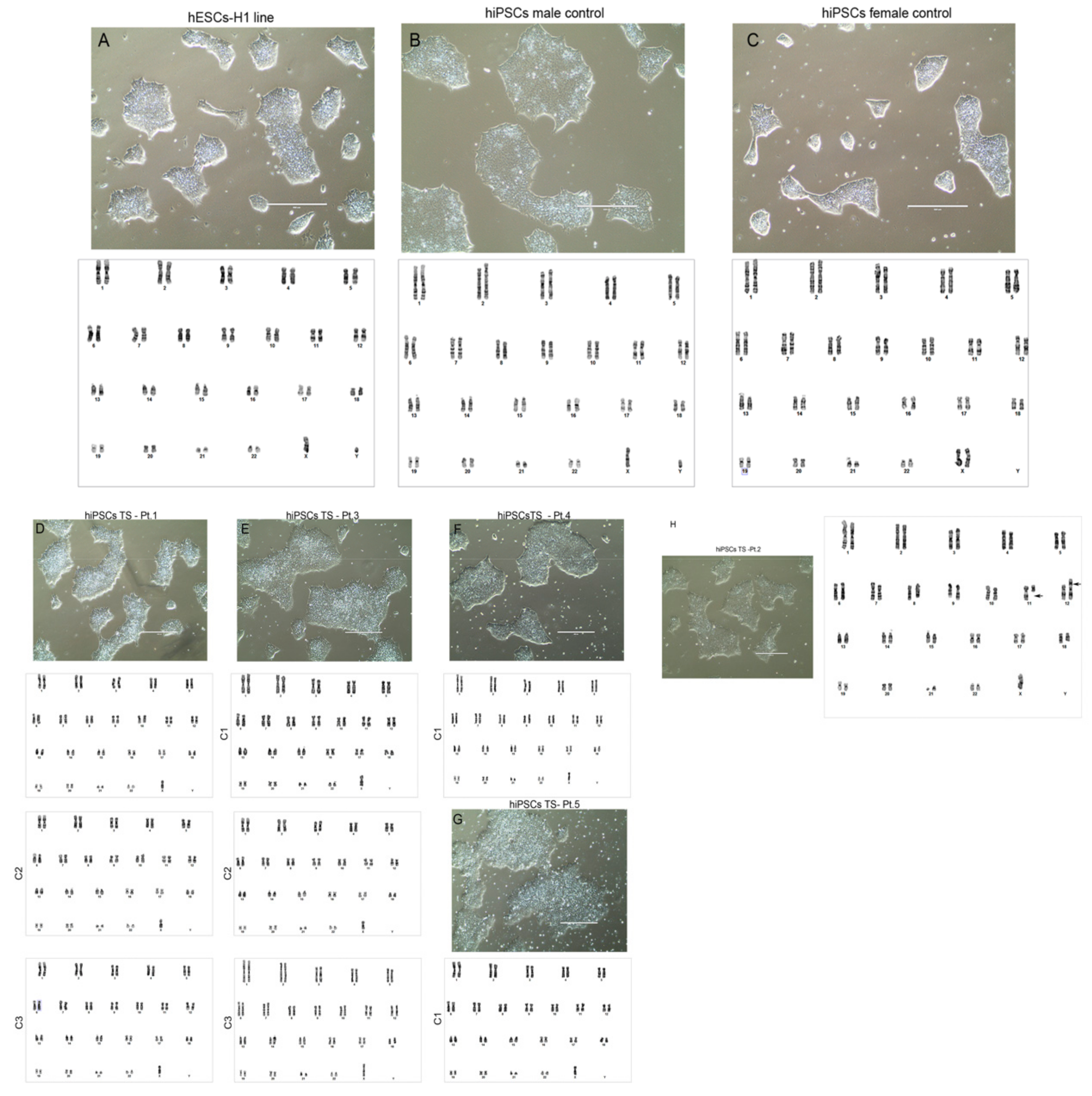 Cells 10 03099 g004 Cells 10 03099 g004