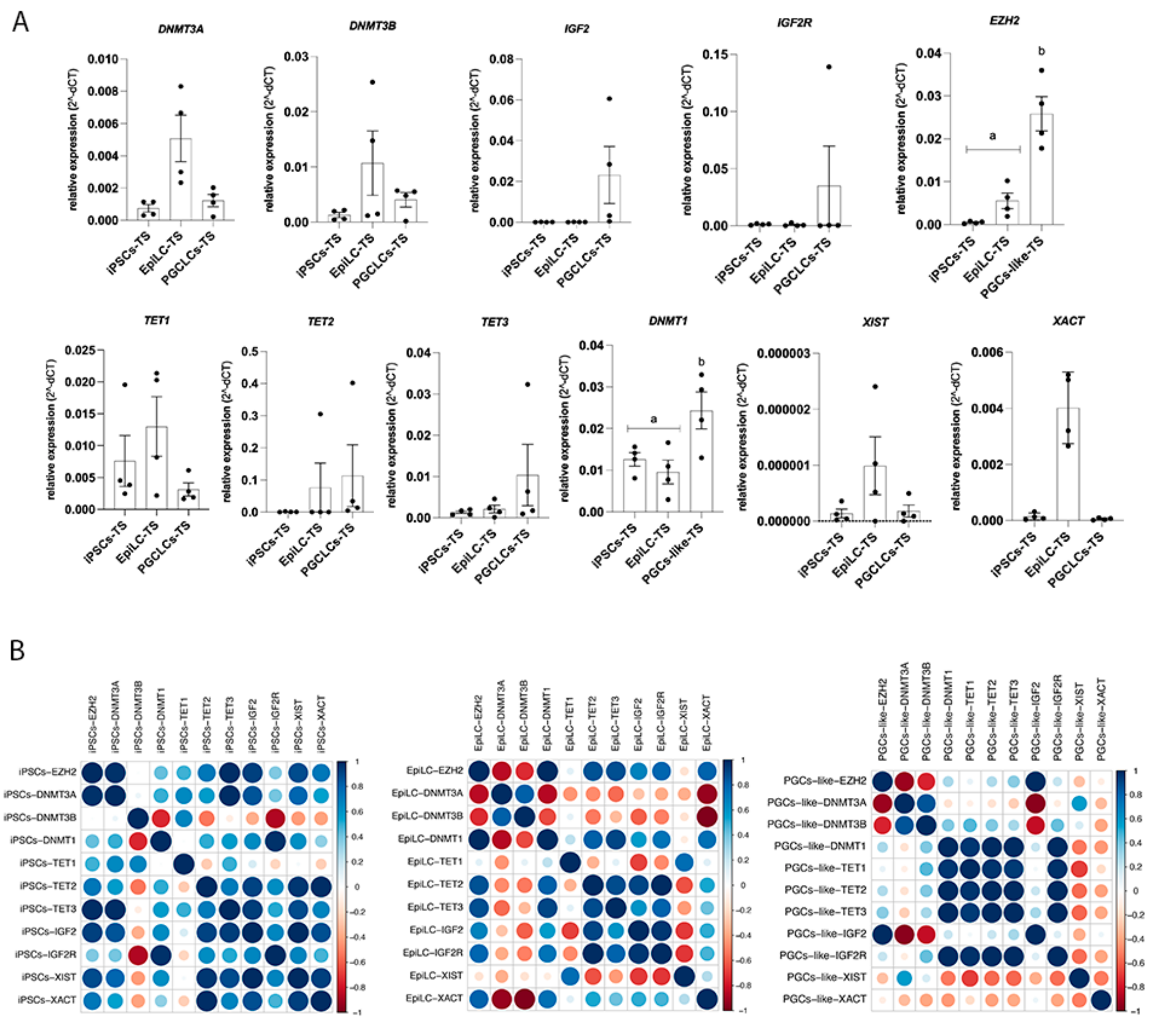 Cells 10 03099 g007 Cells 10 03099 g007