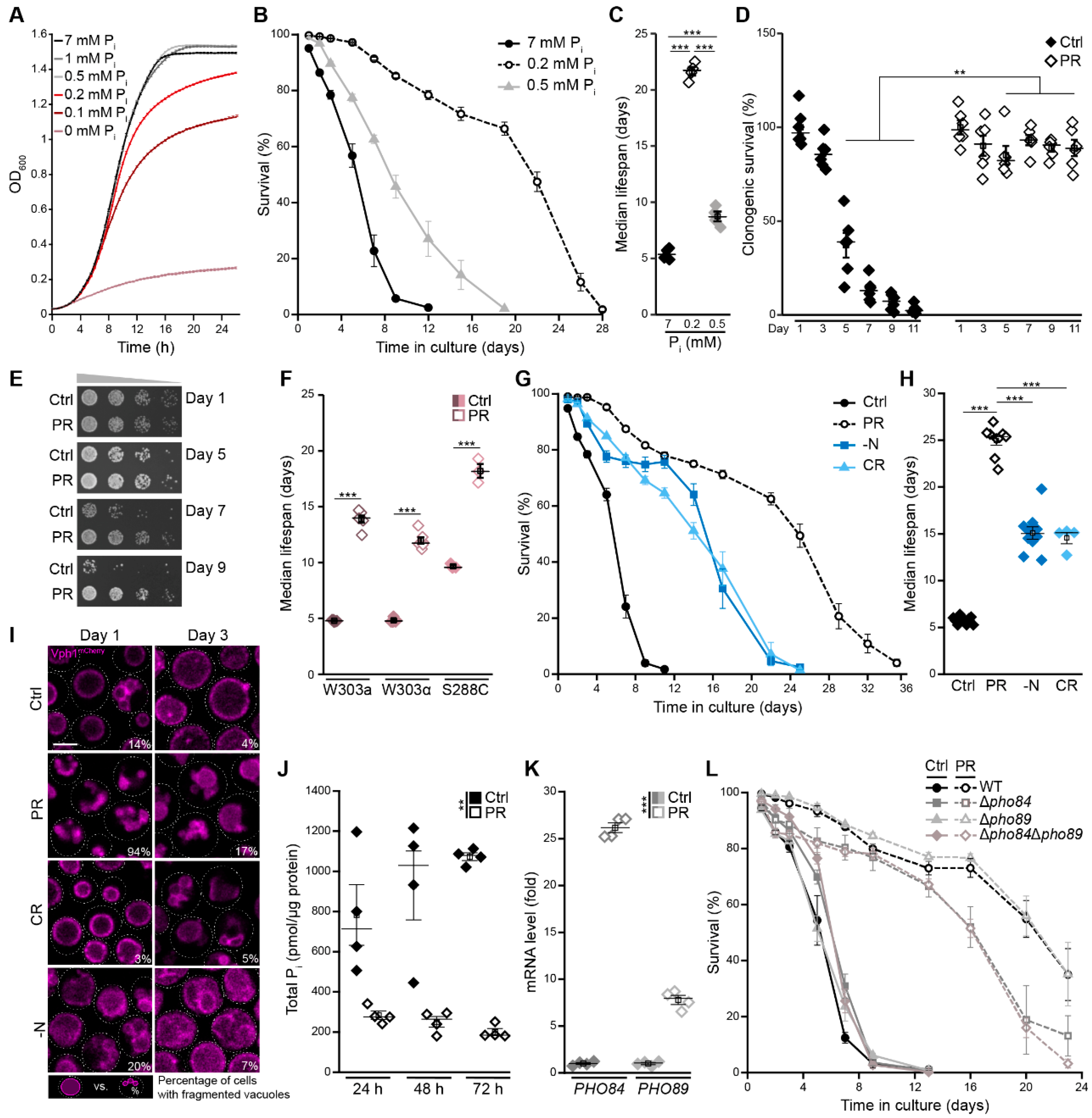 Cells 10 03161 g001 Cells 10 03161 g001