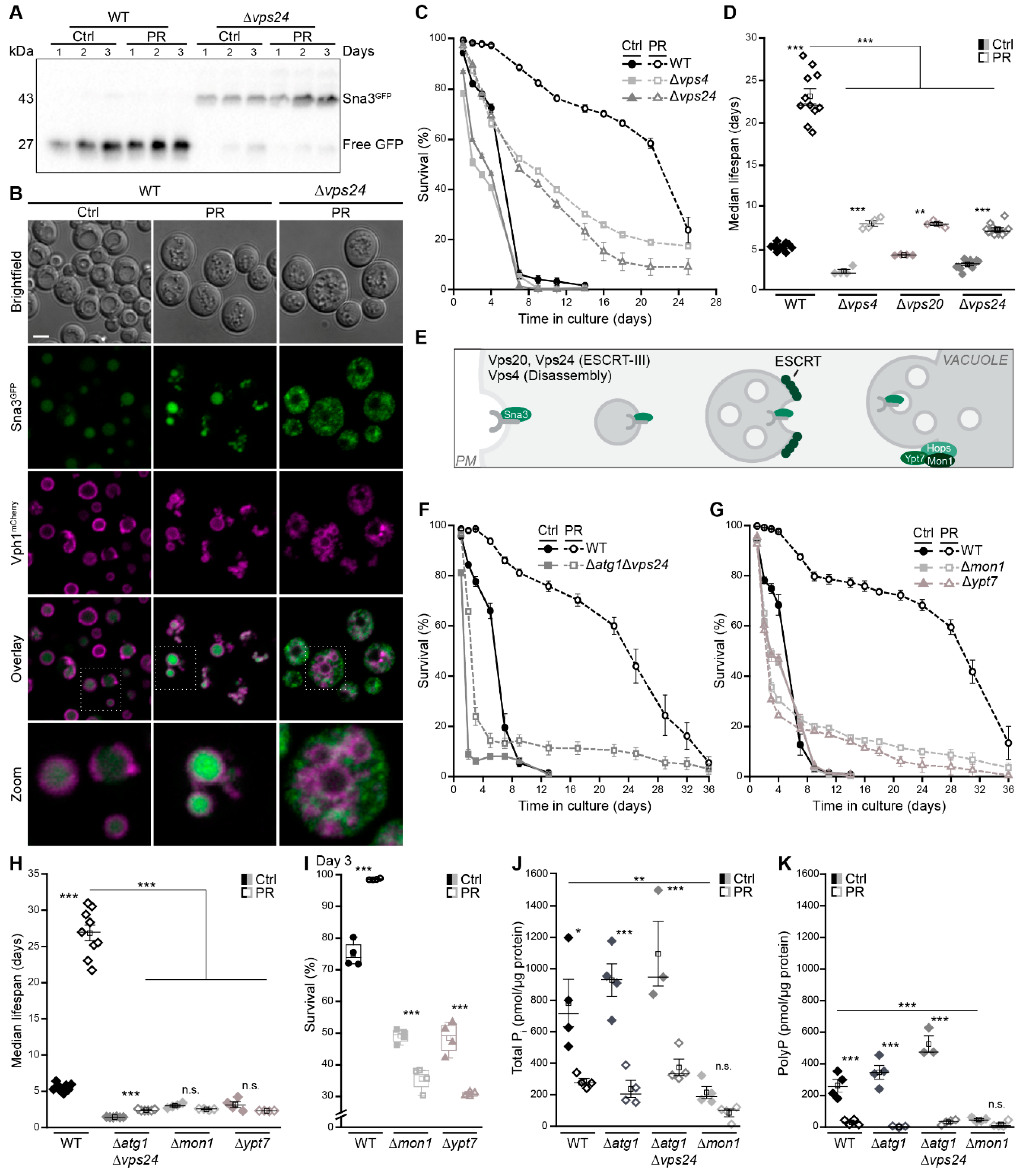 Cells 10 03161 g005 Cells 10 03161 g005