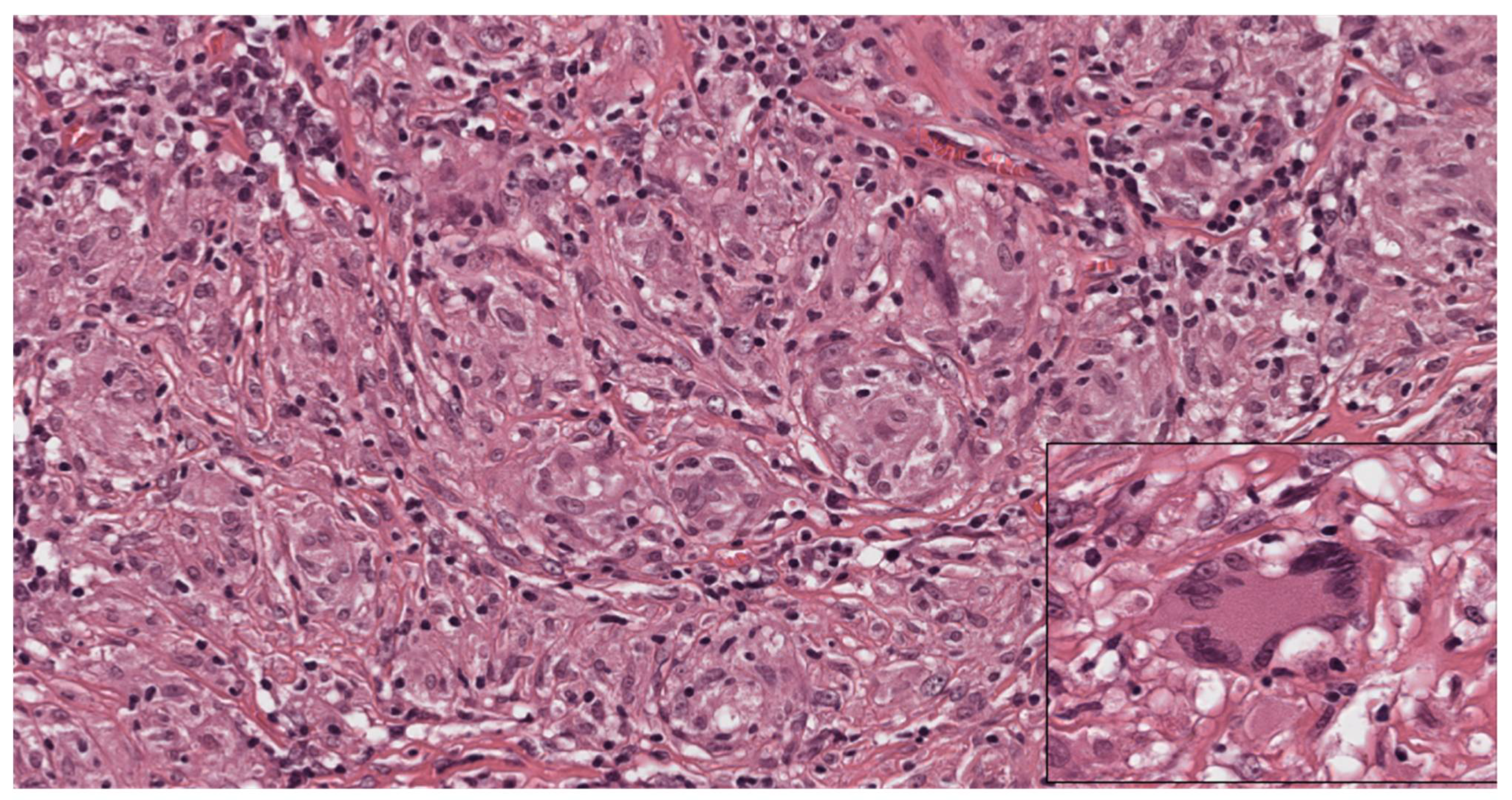 Cells 11 00059 g003 Cells 11 00059 g003