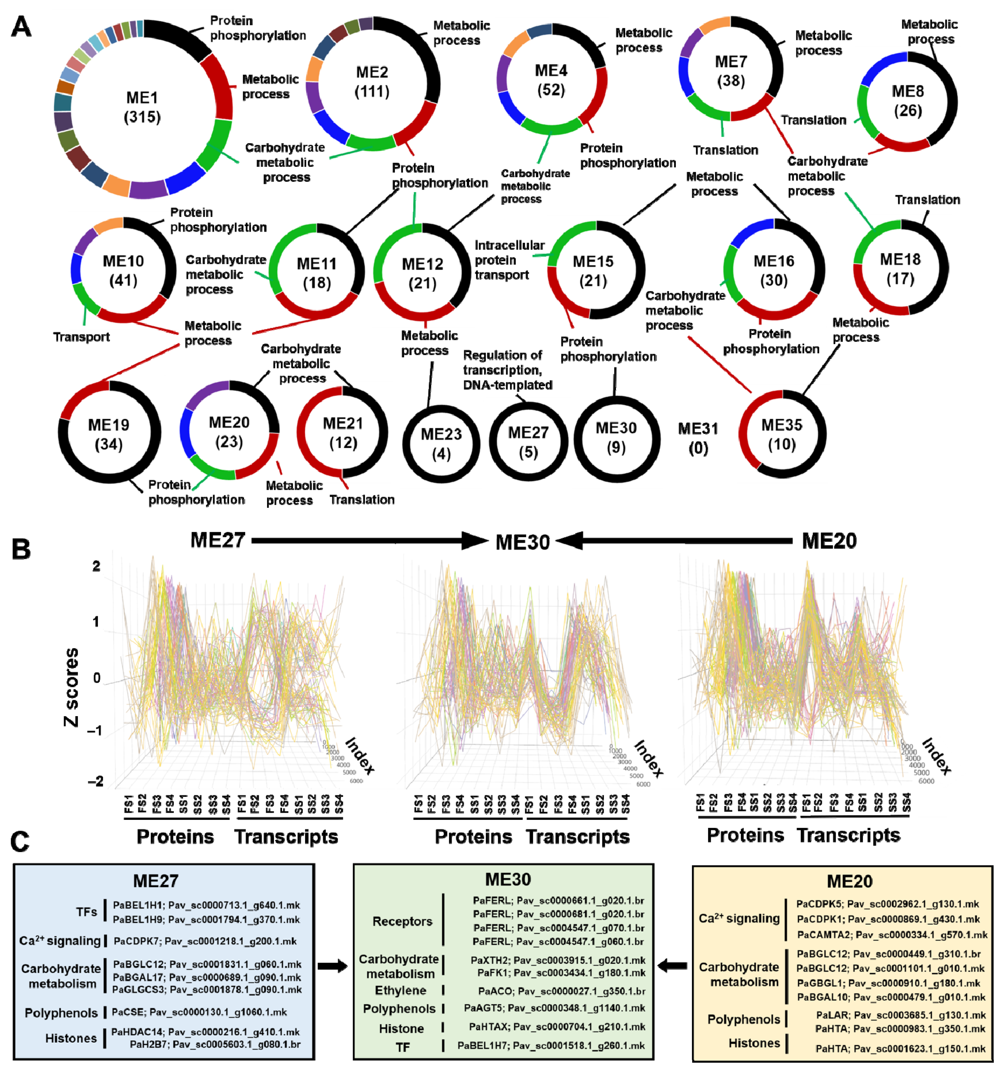 Cells 11 00092 g004 Cells 11 00092 g004