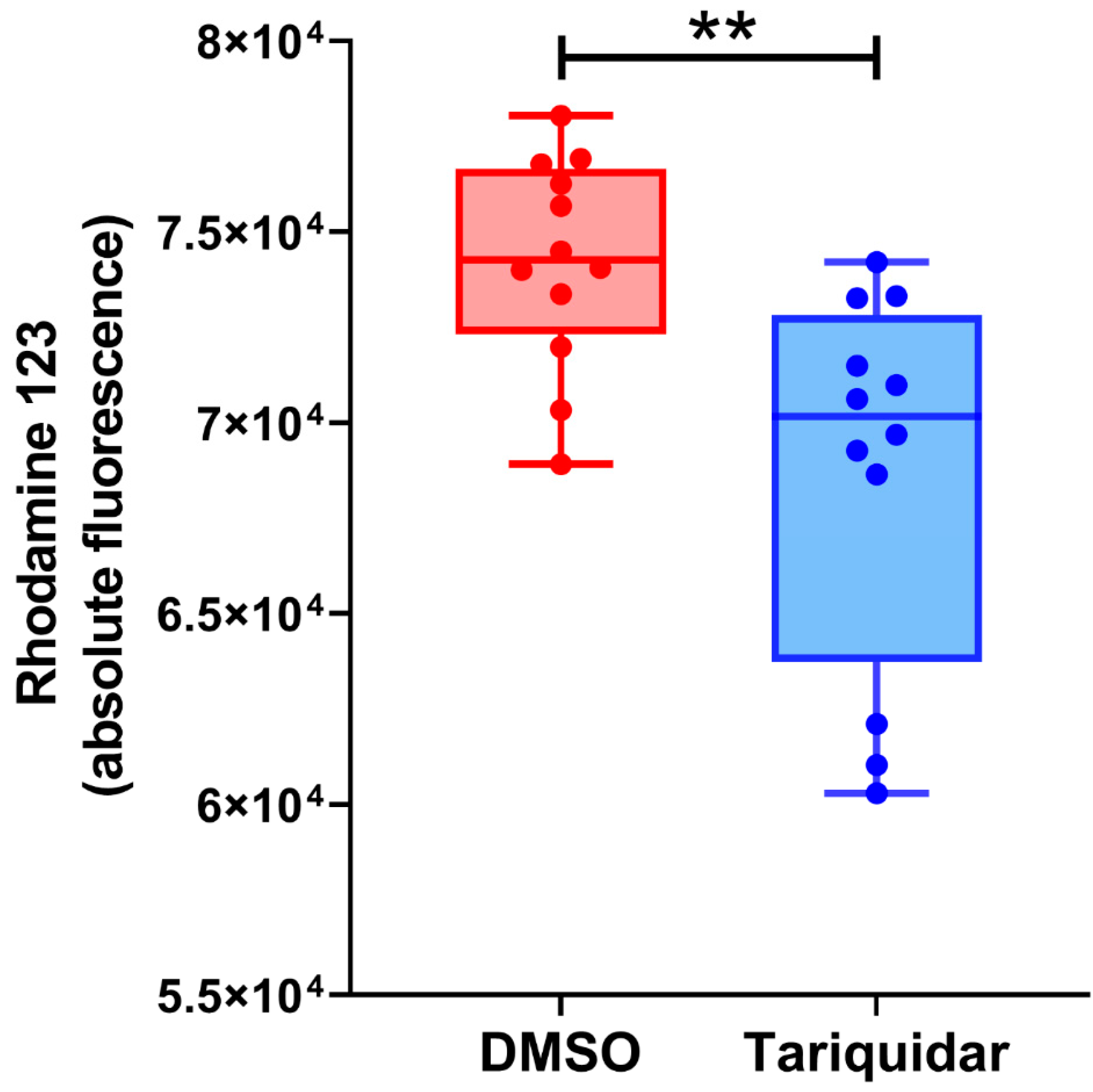 Cells 11 01556 g003 Cells 11 01556 g003