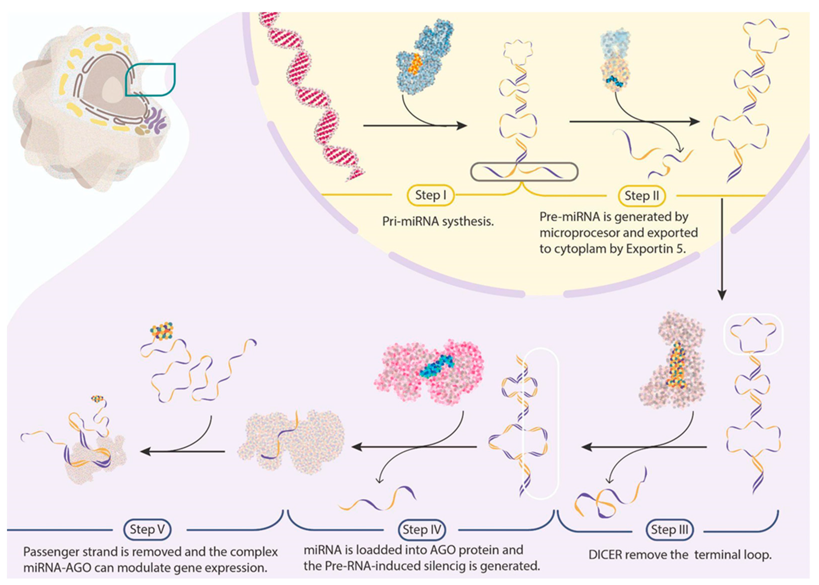 Cells 12 00525 g001 Cells 12 00525 g001