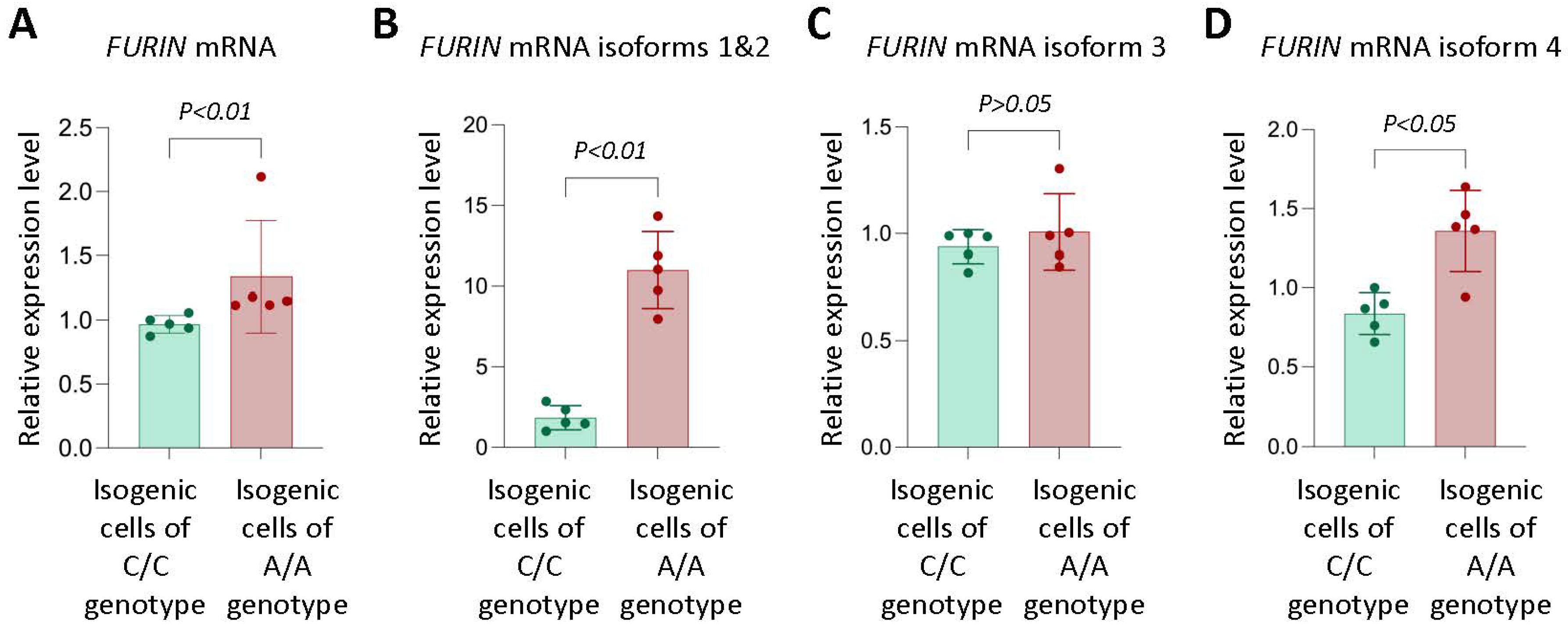 Cells 12 01681 g001 Cells 12 01681 g001