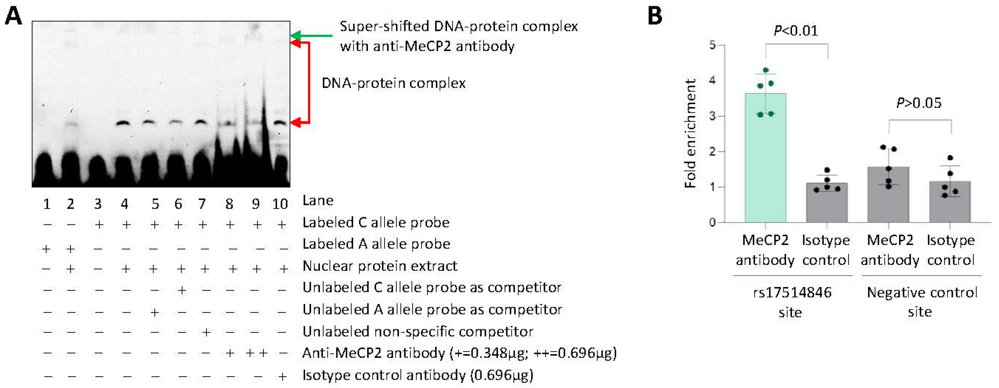 Cells 12 01681 g004 Cells 12 01681 g004