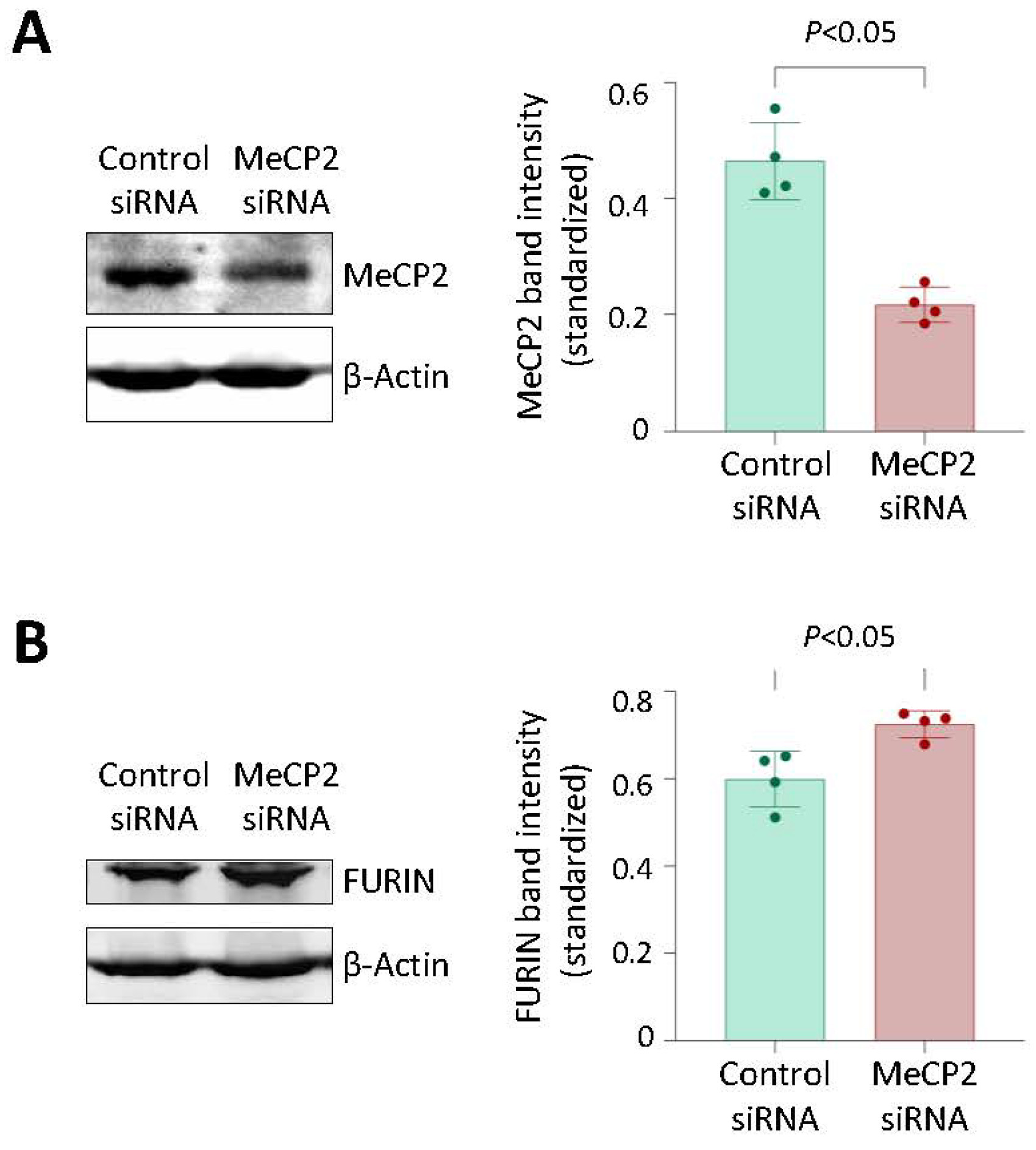 Cells 12 01681 g005 Cells 12 01681 g005