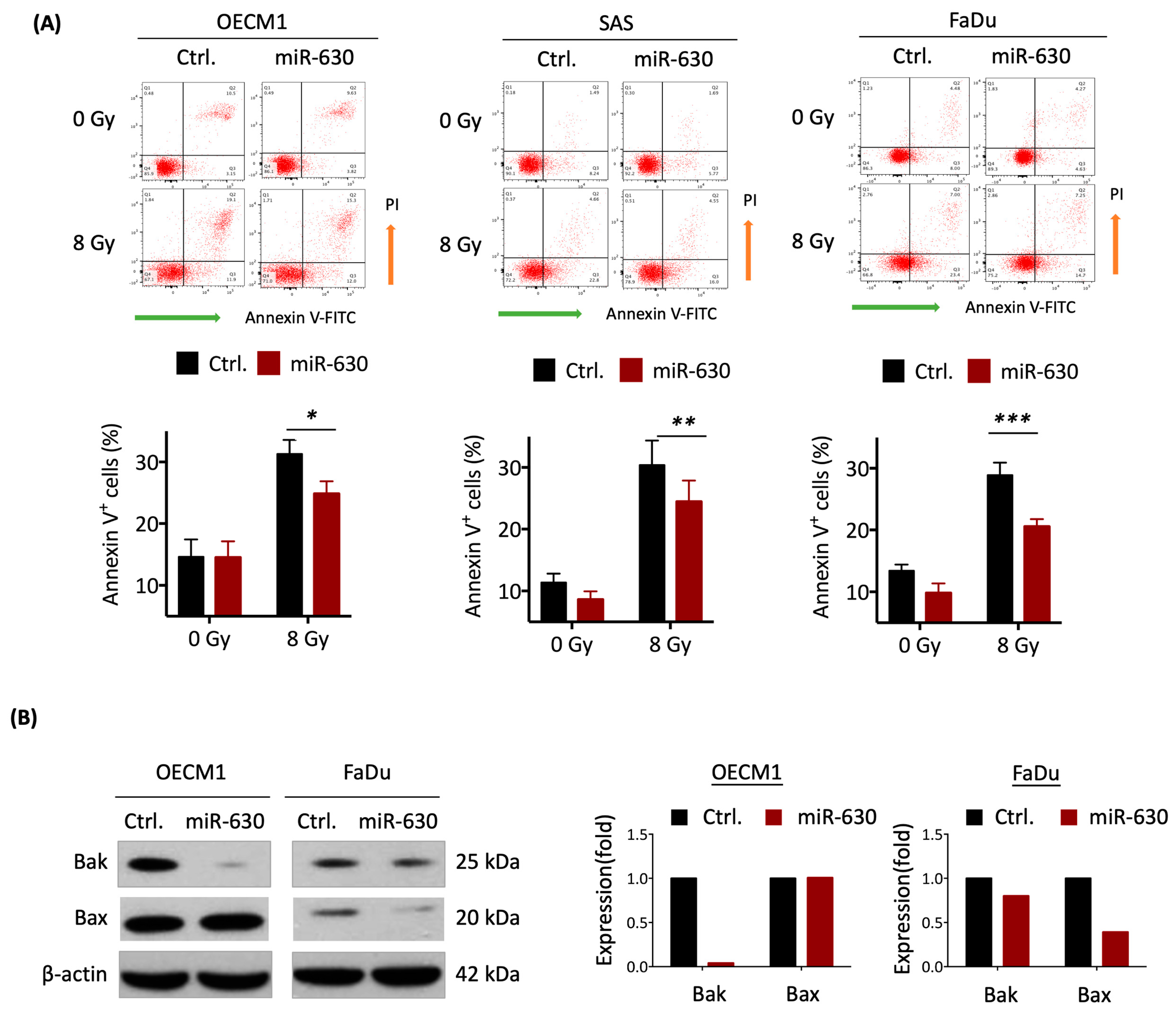 Cells 12 02853 g003a