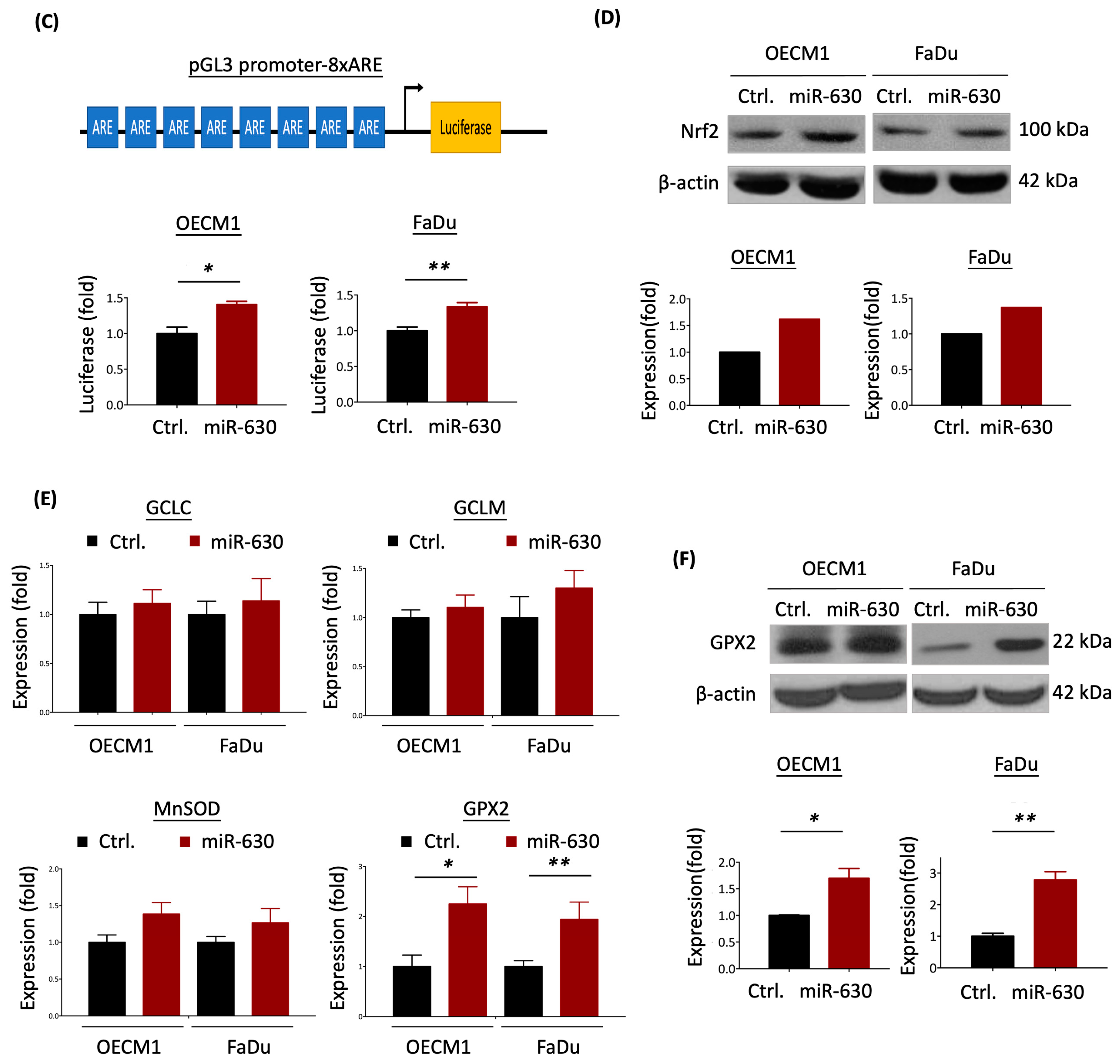 Cells 12 02853 g005b