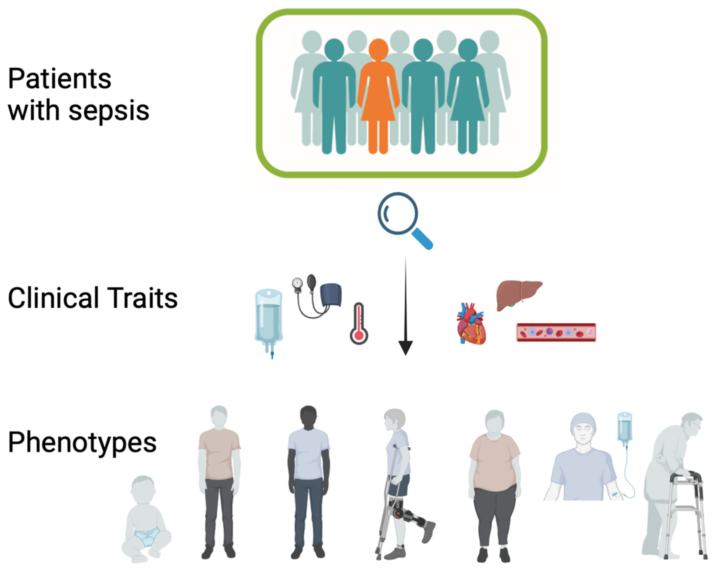 Cells 13 00439 g004 Cells 13 00439 g004