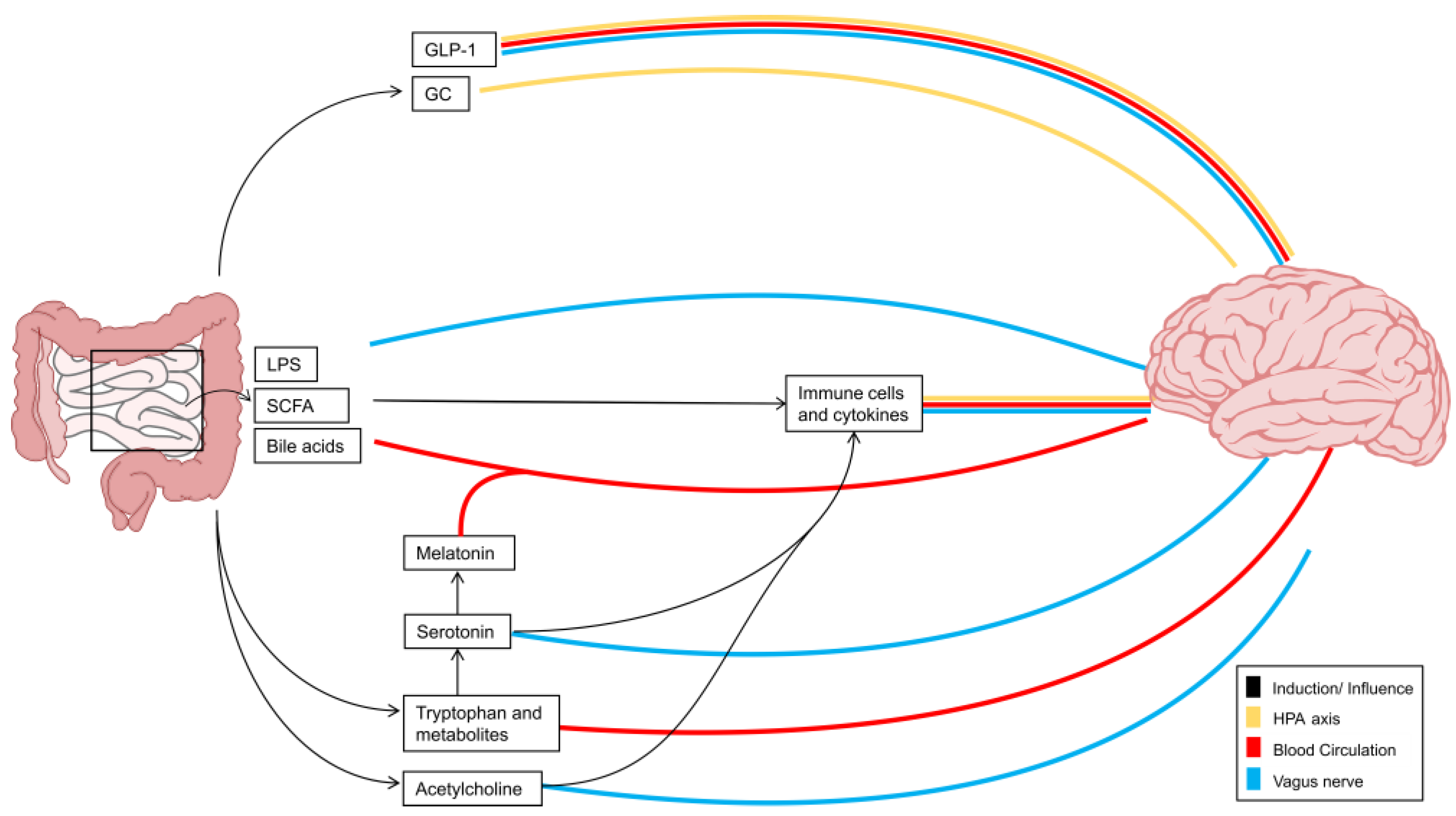 Cells 13 00497 g001 Cells 13 00497 g001