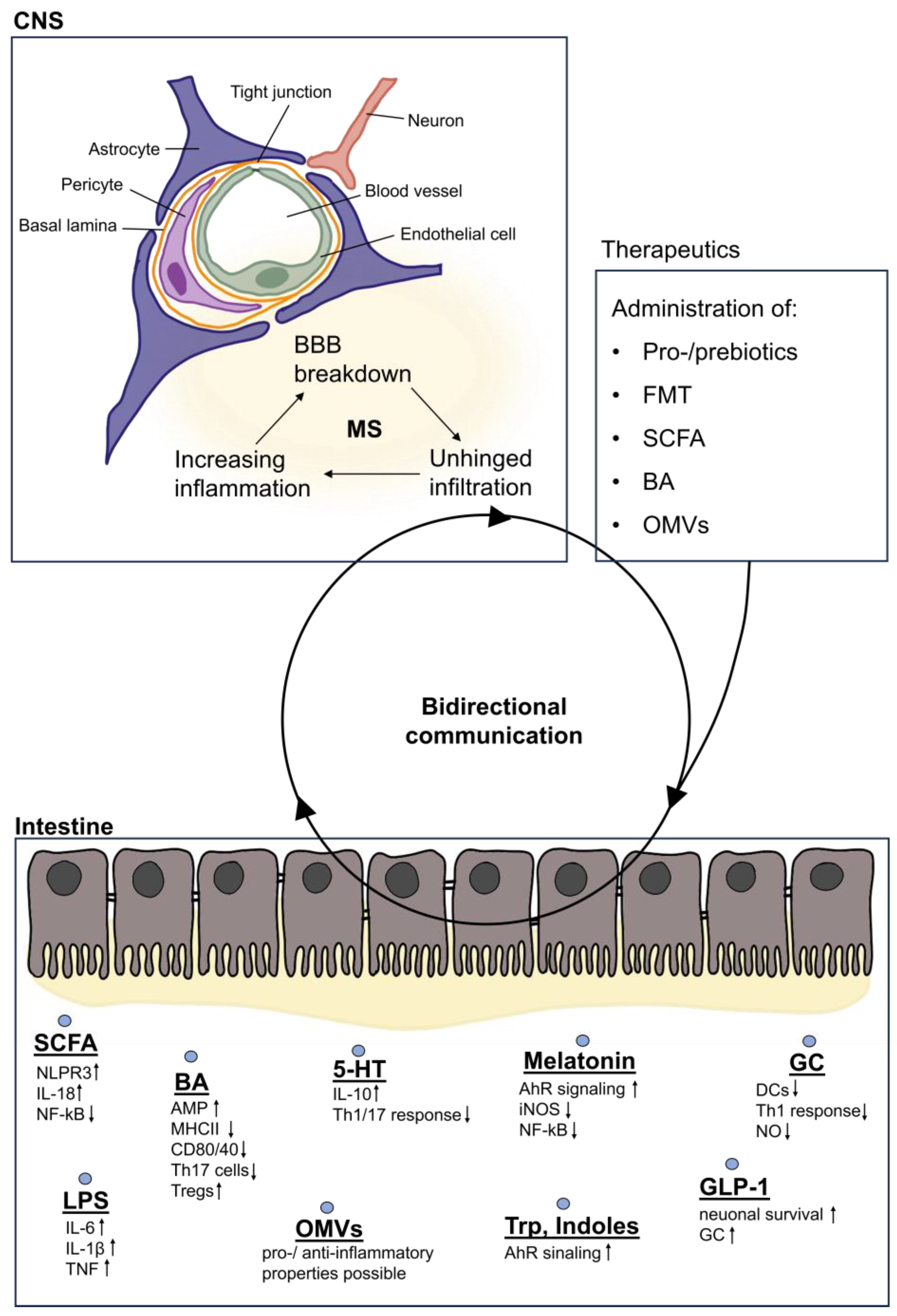 Cells 13 00497 g002 Cells 13 00497 g002