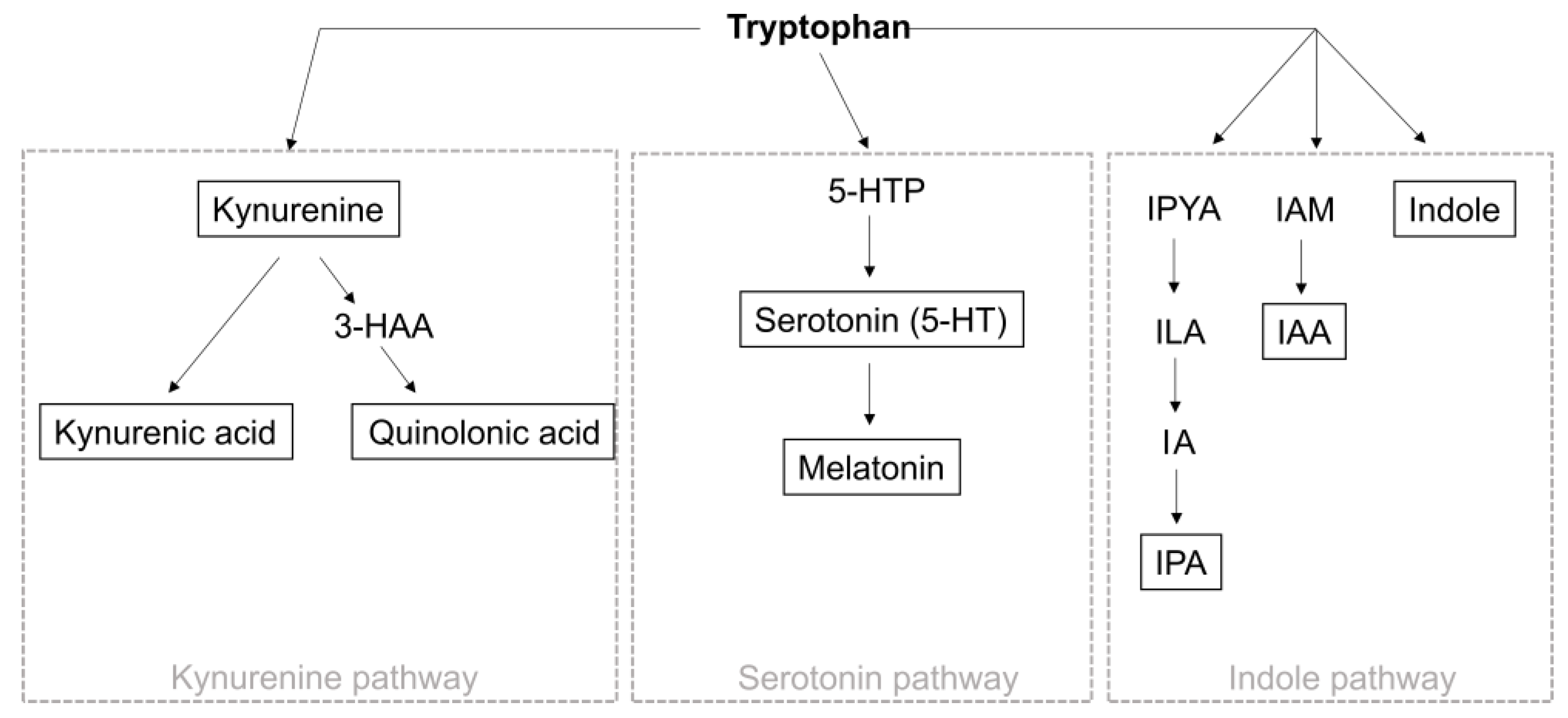 Cells 13 00497 g003 Cells 13 00497 g003