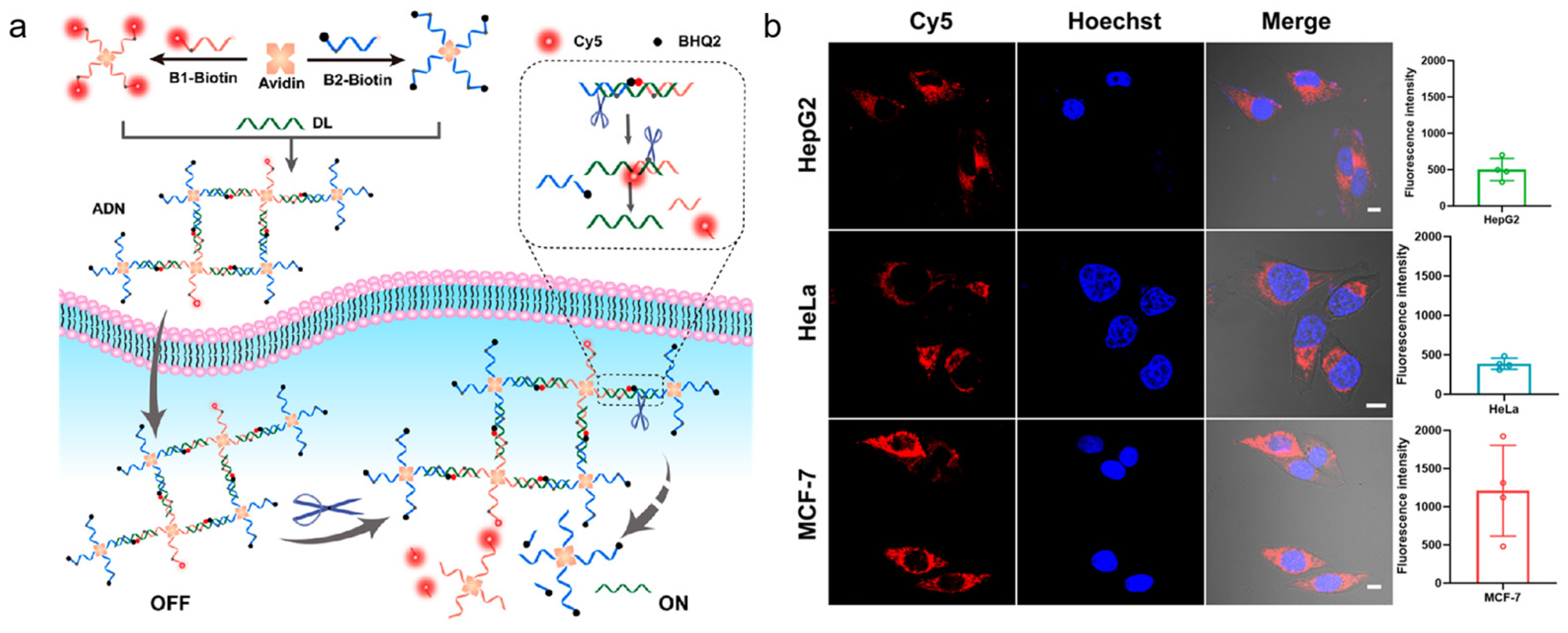 Chemistry 05 00124 g008