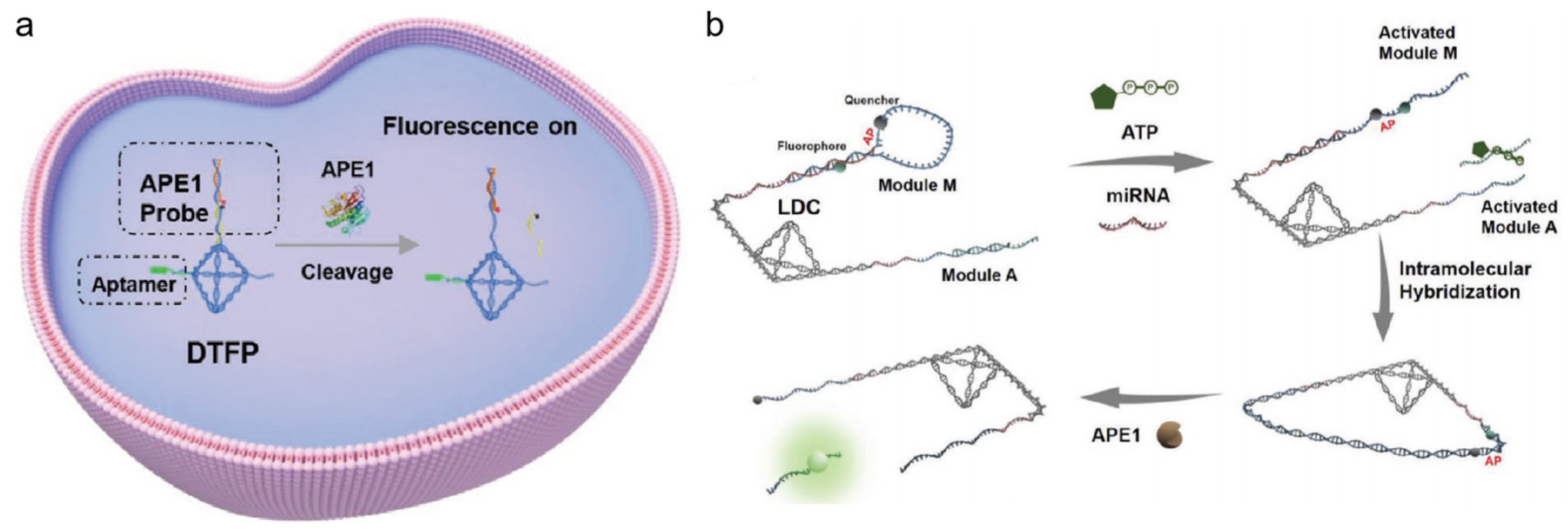 Chemistry 05 00124 g009