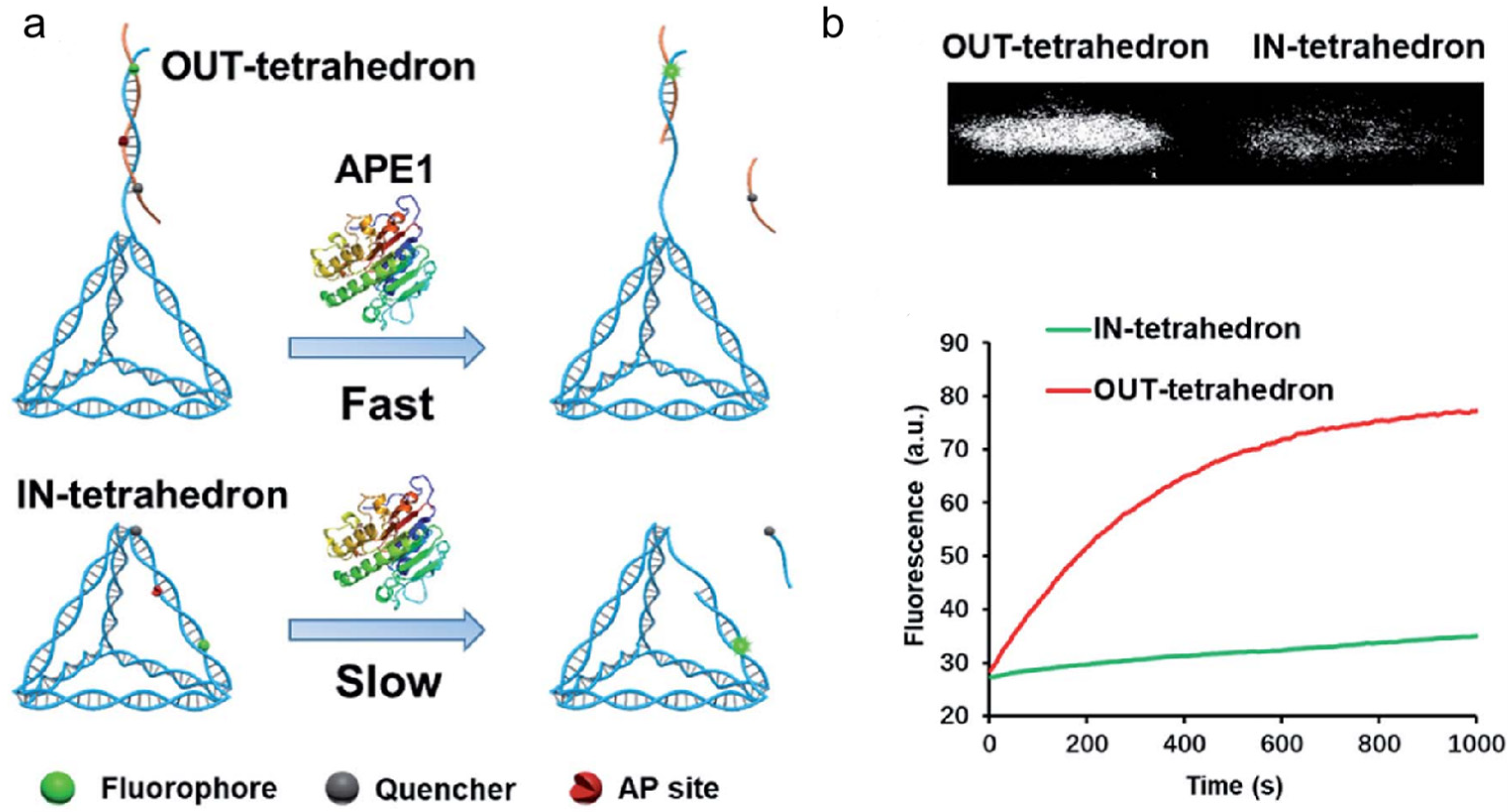 Chemistry 05 00124 g010