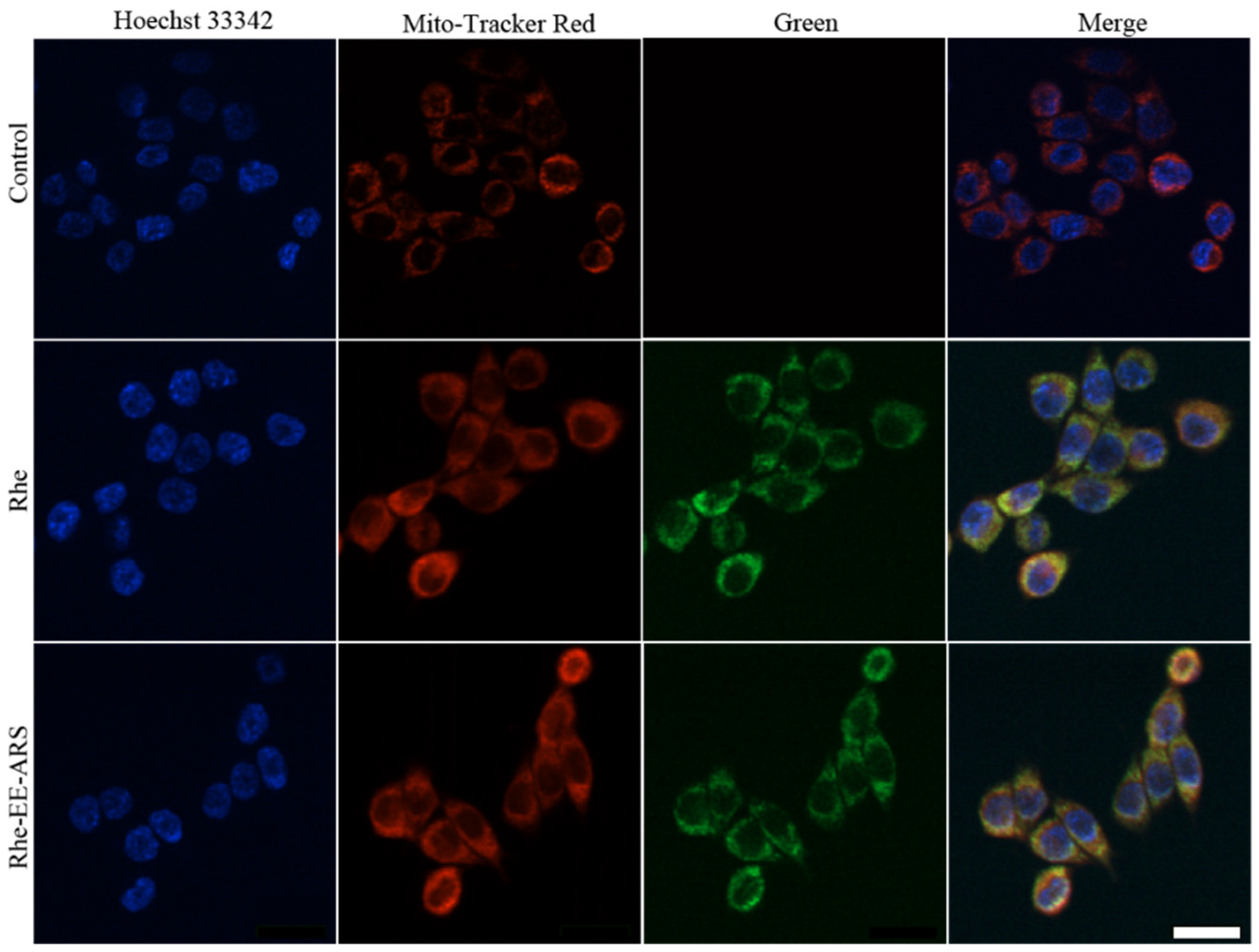 Chemistry 06 00020 g003