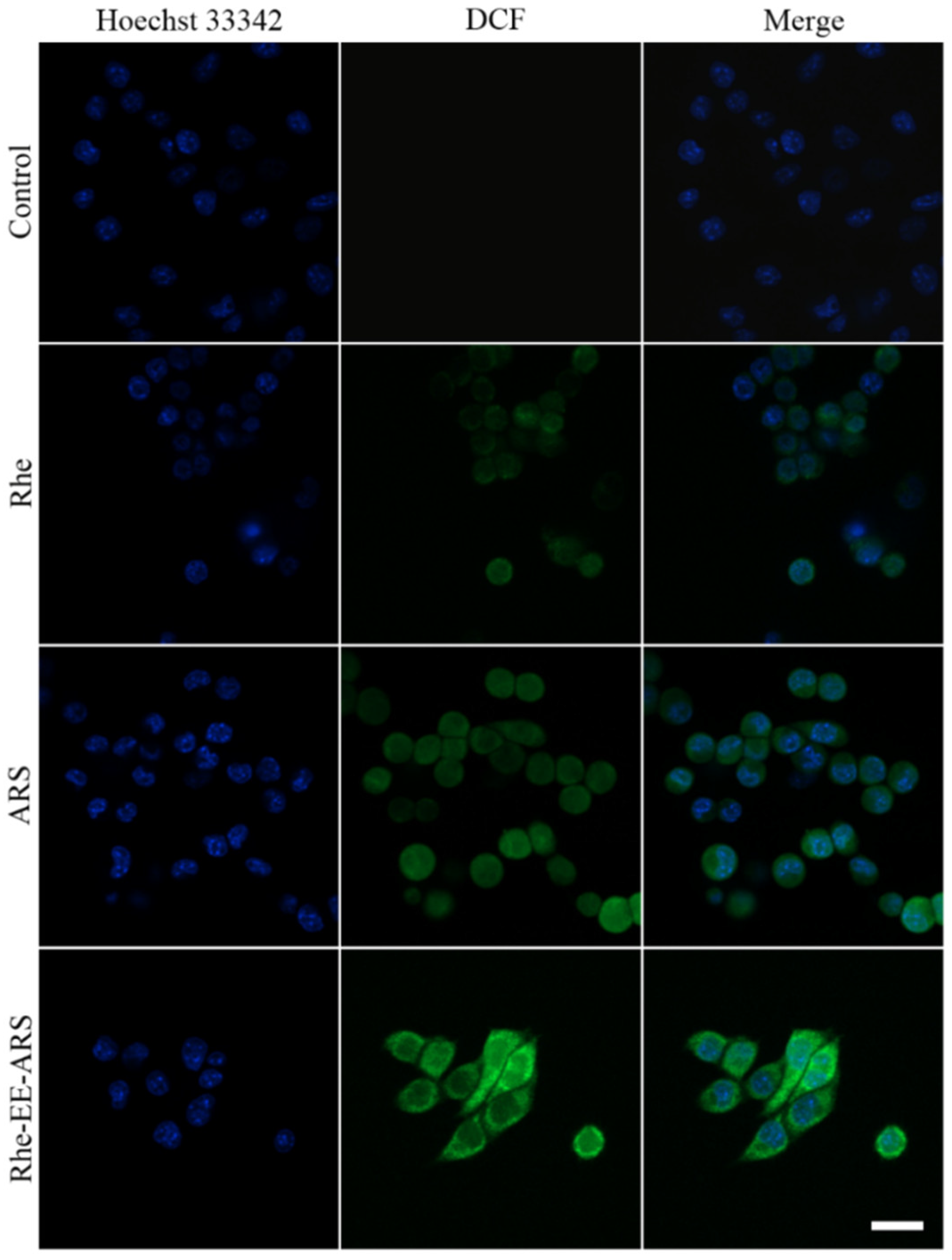Chemistry 06 00020 g007