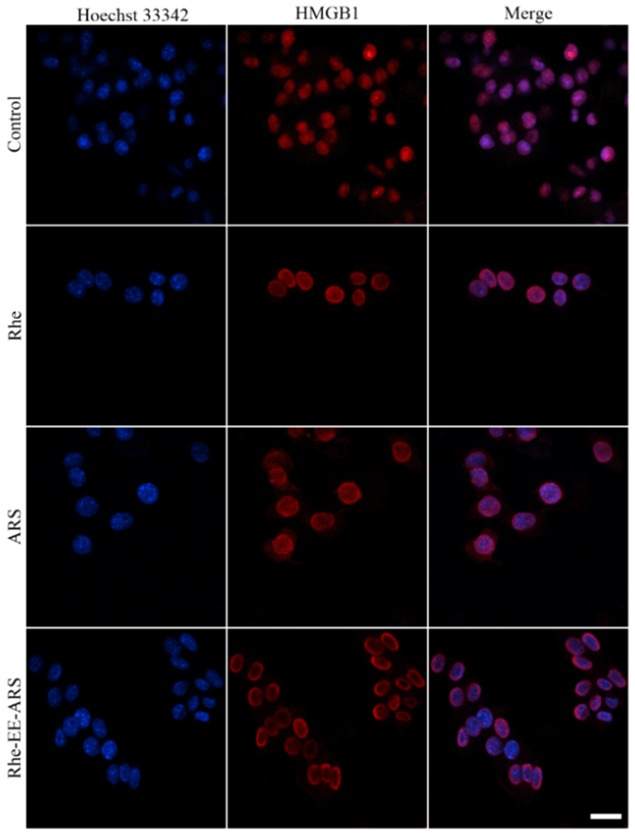 Chemistry 06 00020 g011