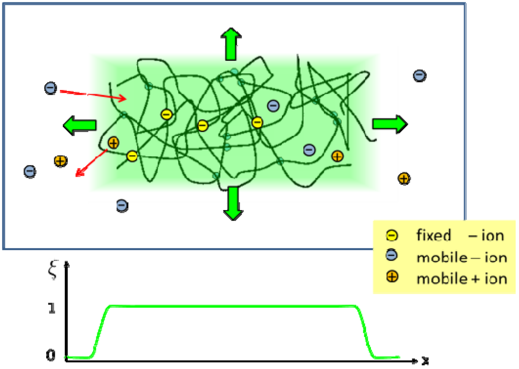 Chemosensors 01 00043 g001 1024