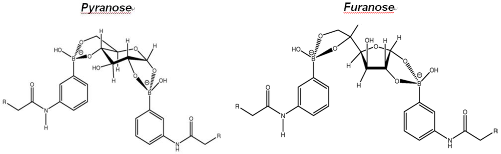 Chemosensors 02 00001 g002 1024