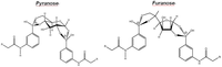 Chemosensors 02 00001 g002 200