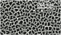 Chemosensors 02 00013 g001 200