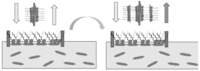 Chemosensors 02 00041 g008 200