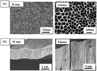 Chemosensors 02 00069 g002 200