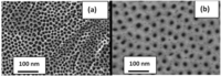 Chemosensors 02 00069 g004 200