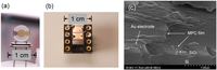 Chemosensors 02 00085 g002 200