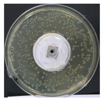 Chemosensors 02 00171 g003 200
