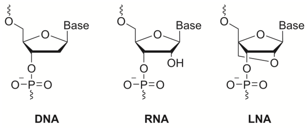 Chemosensors 02 00193 g006 1024