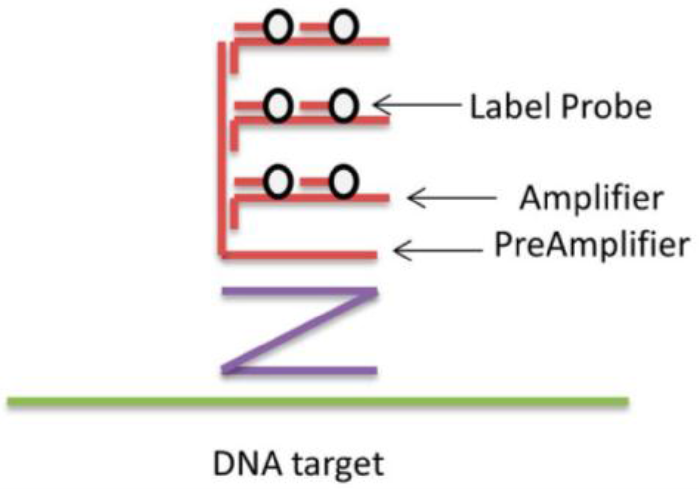 Chemosensors 03 00224 g002