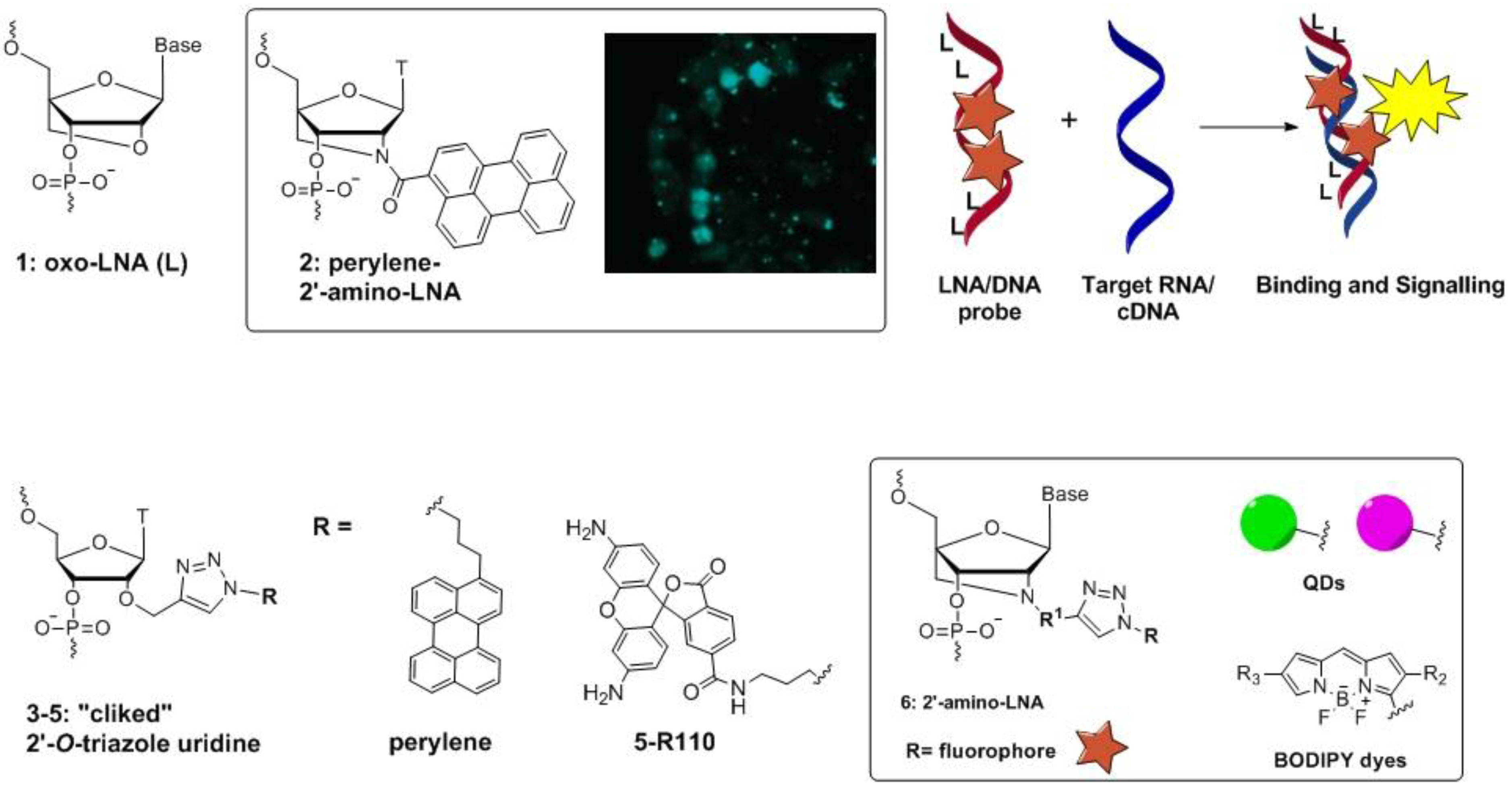 Chemosensors 03 00224 g003