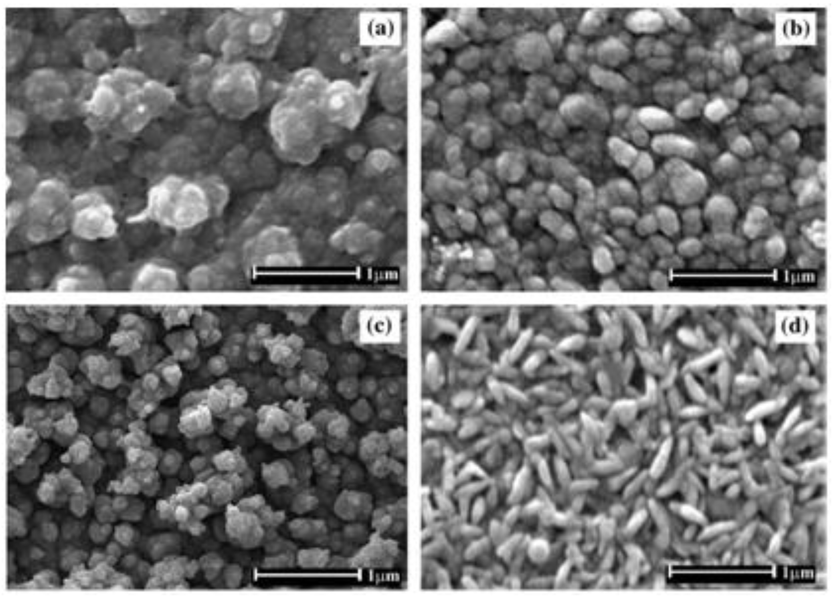 Chemosensors 04 00004 g008