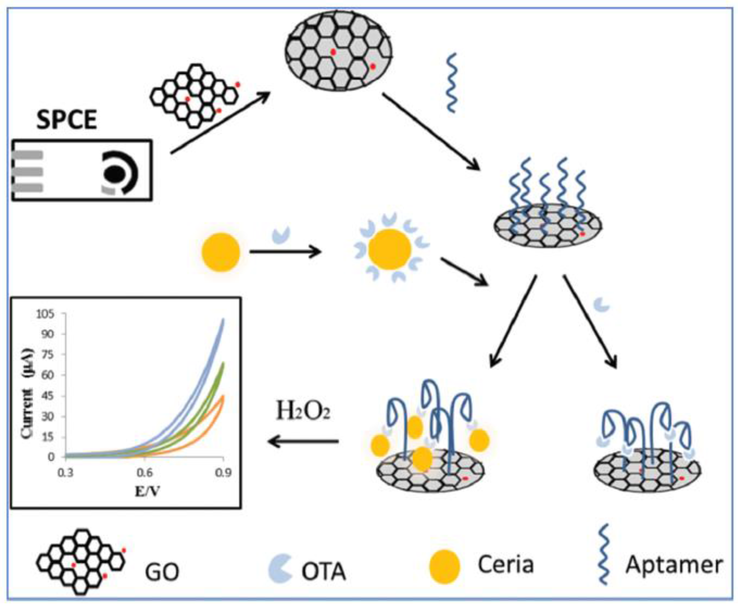Chemosensors 05 00008 g003