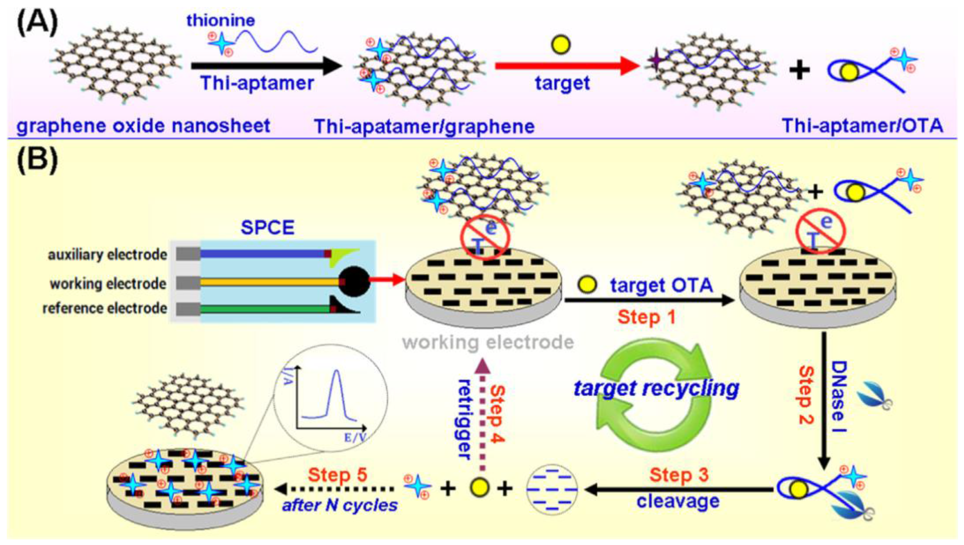 Chemosensors 05 00008 g005