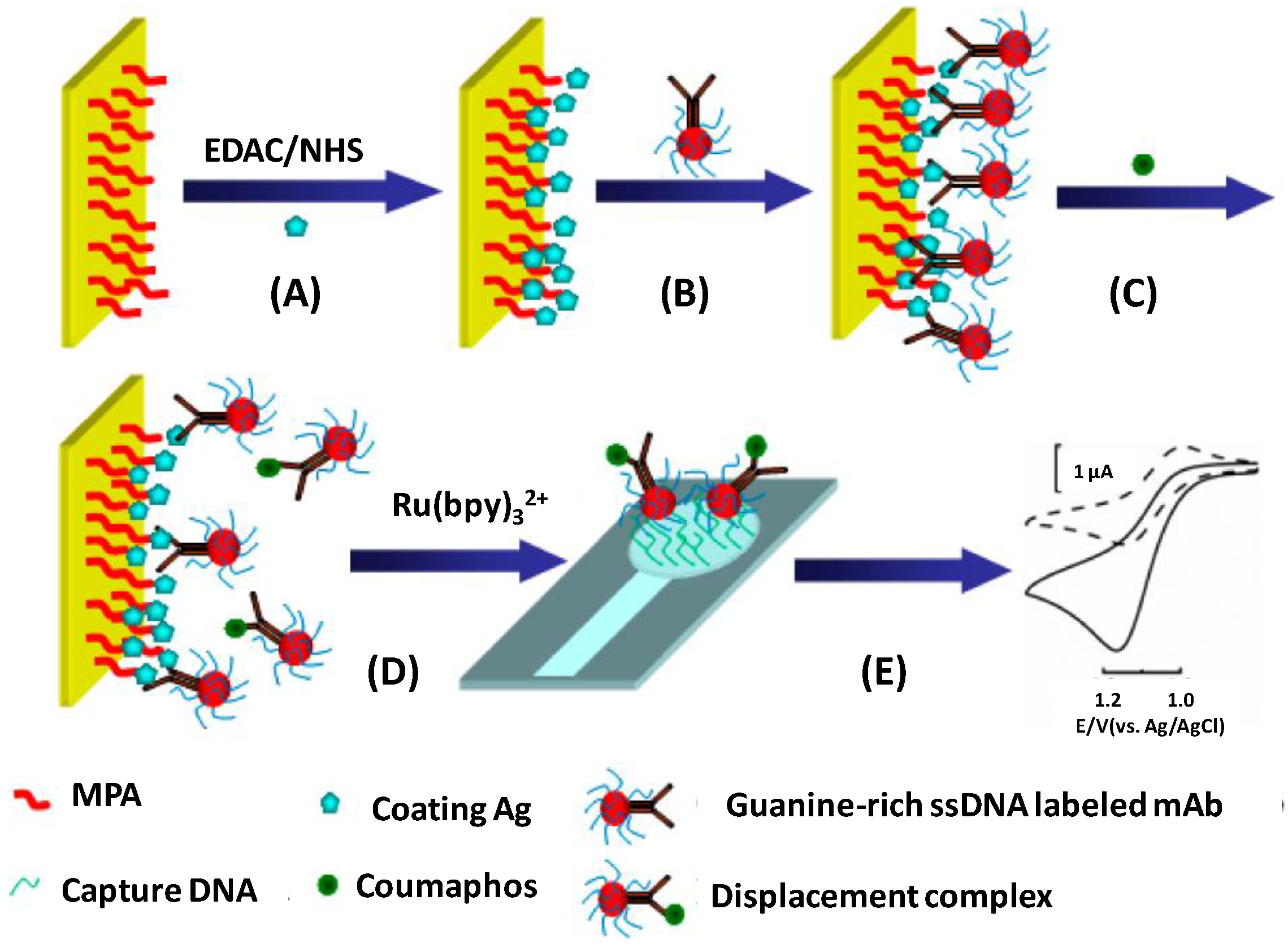Chemosensors 05 00008 g006