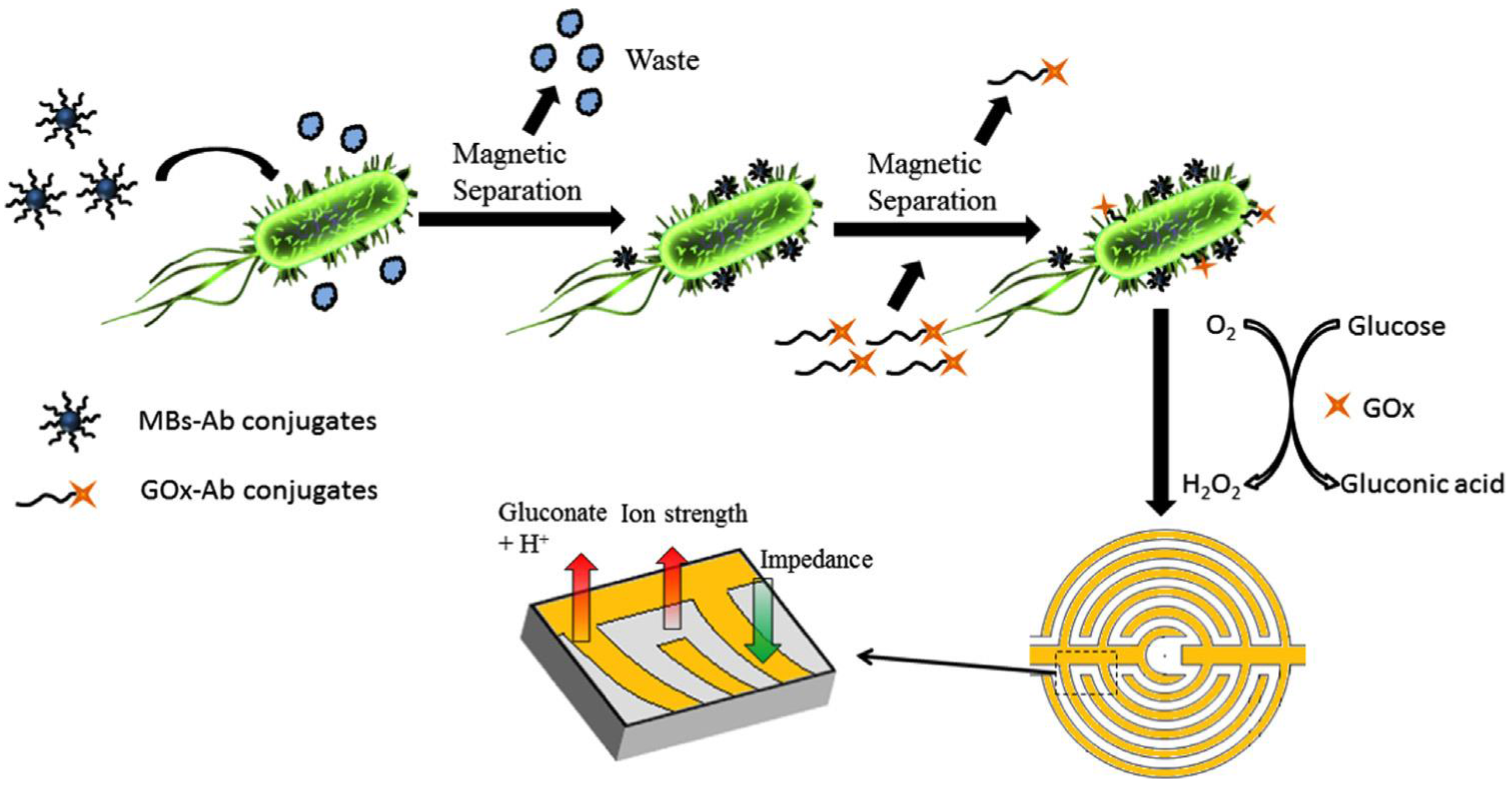 Chemosensors 05 00008 g009
