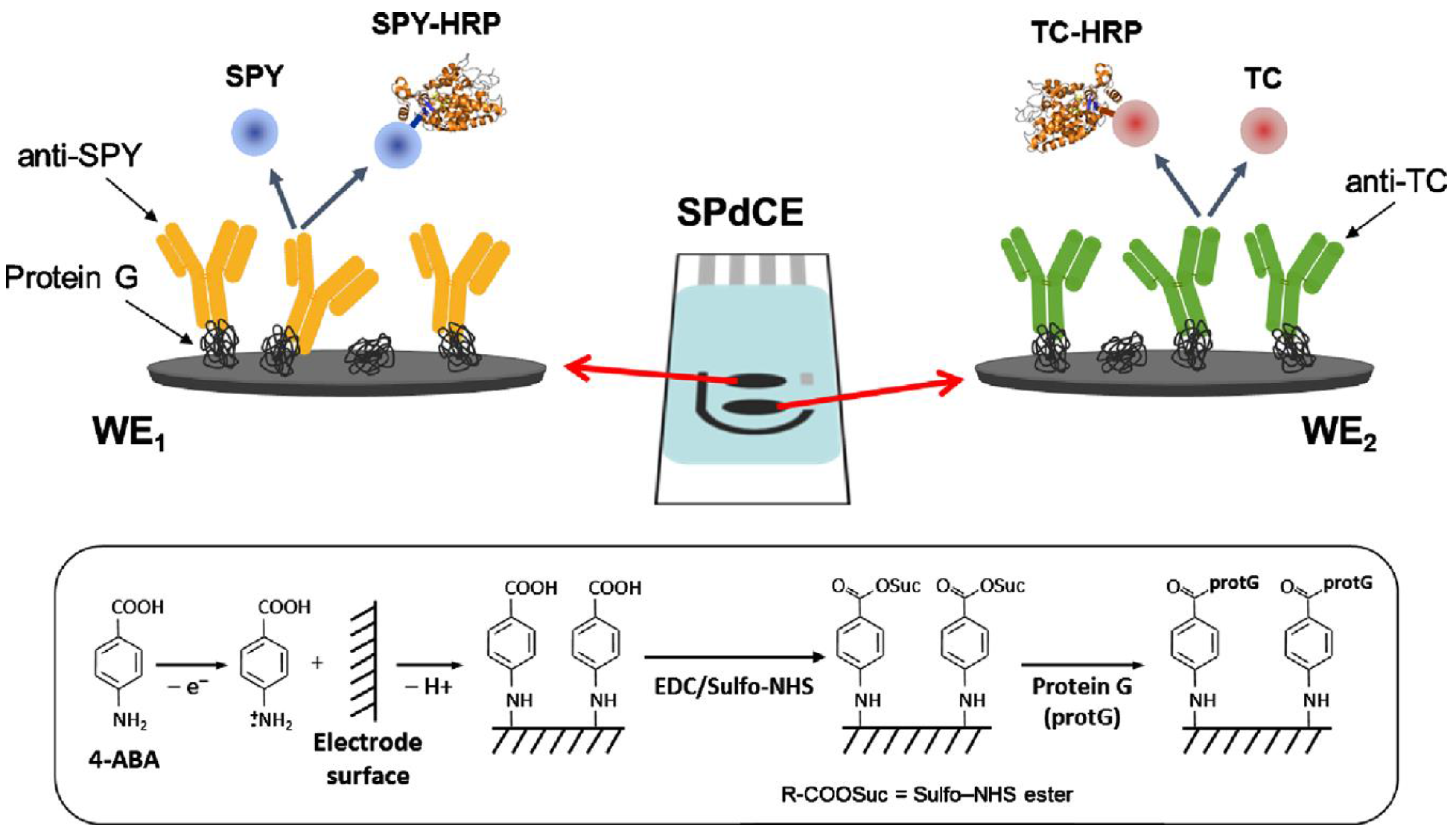 Chemosensors 05 00008 g011