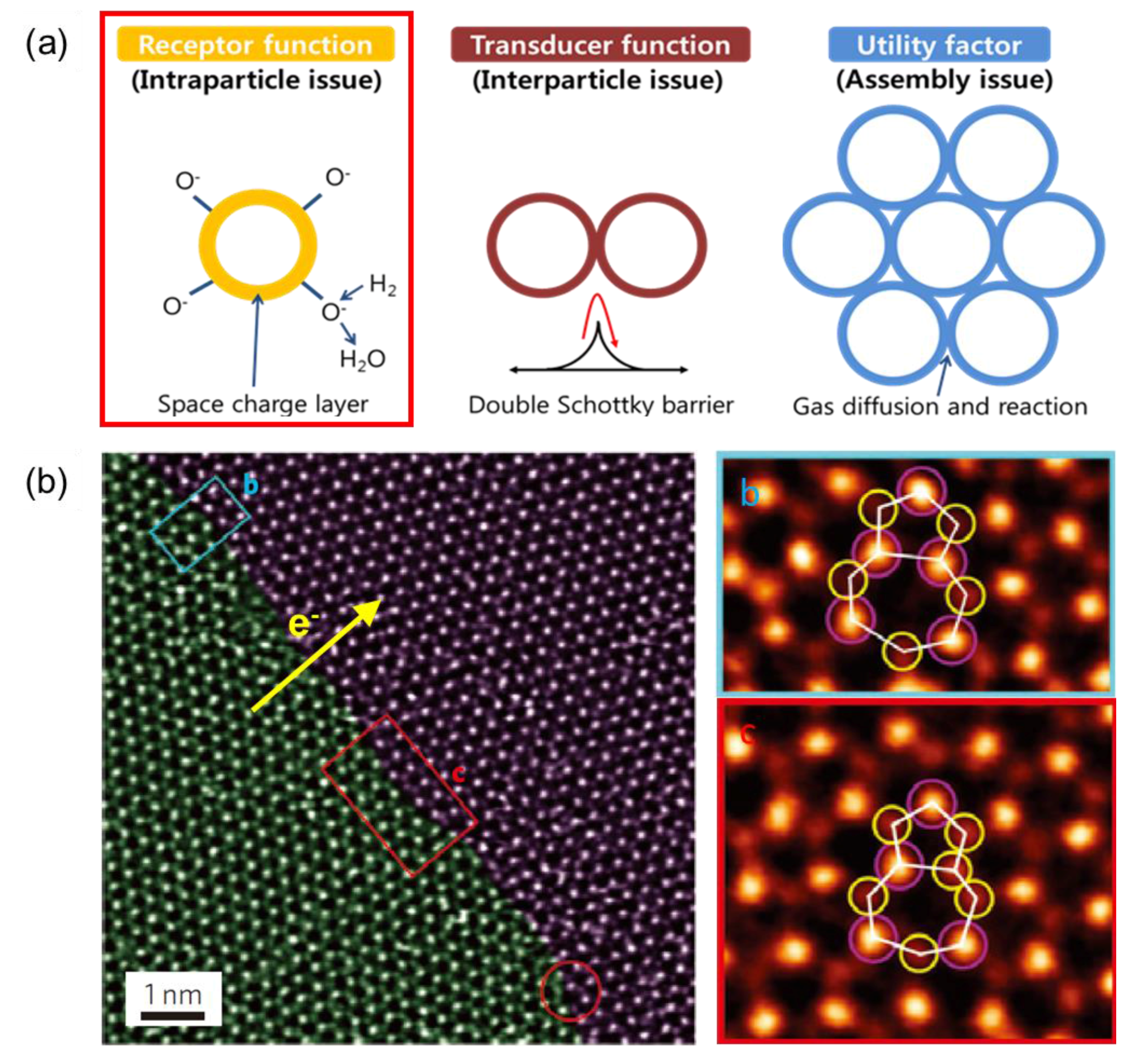 Chemosensors 05 00015 g012