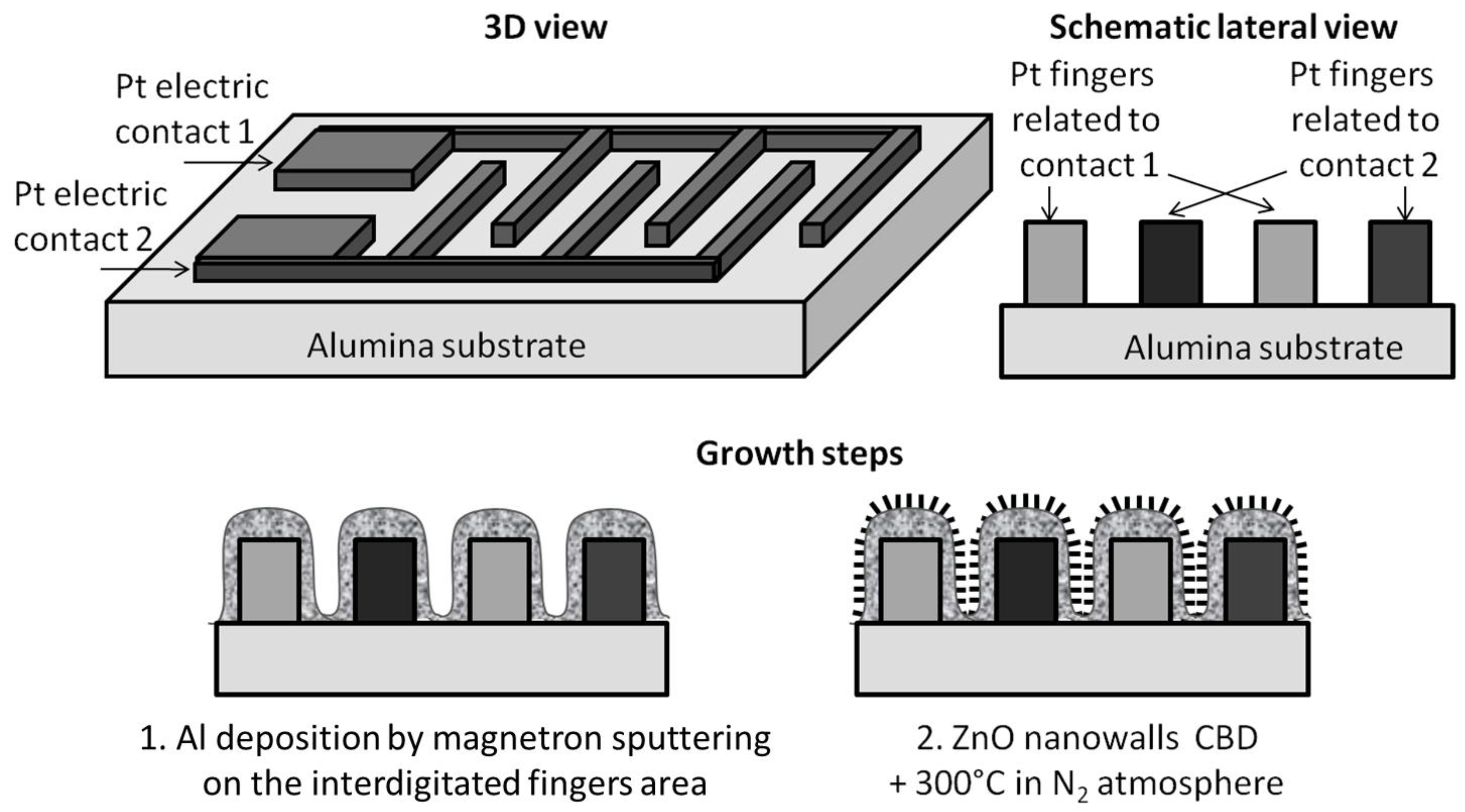 Chemosensors 05 00020 g001