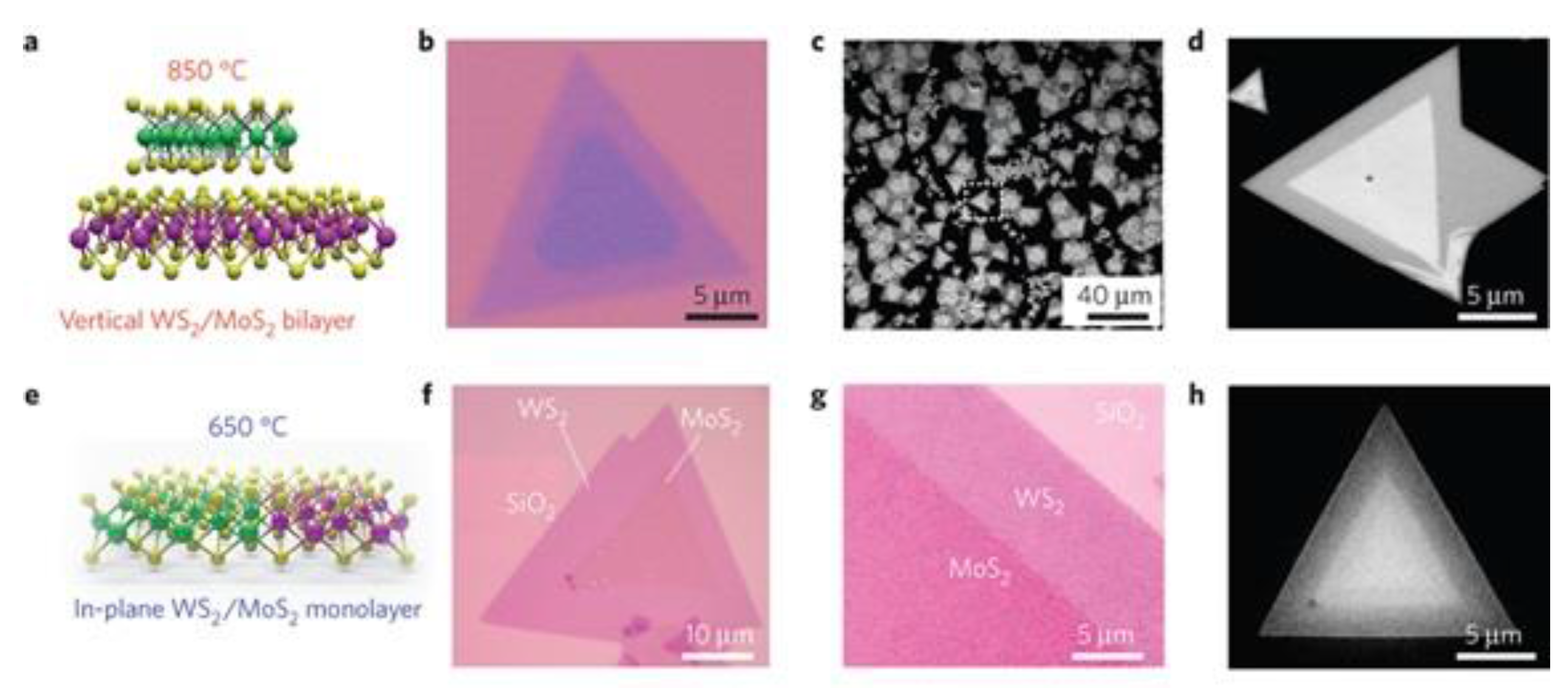 Chemosensors 05 00021 g015