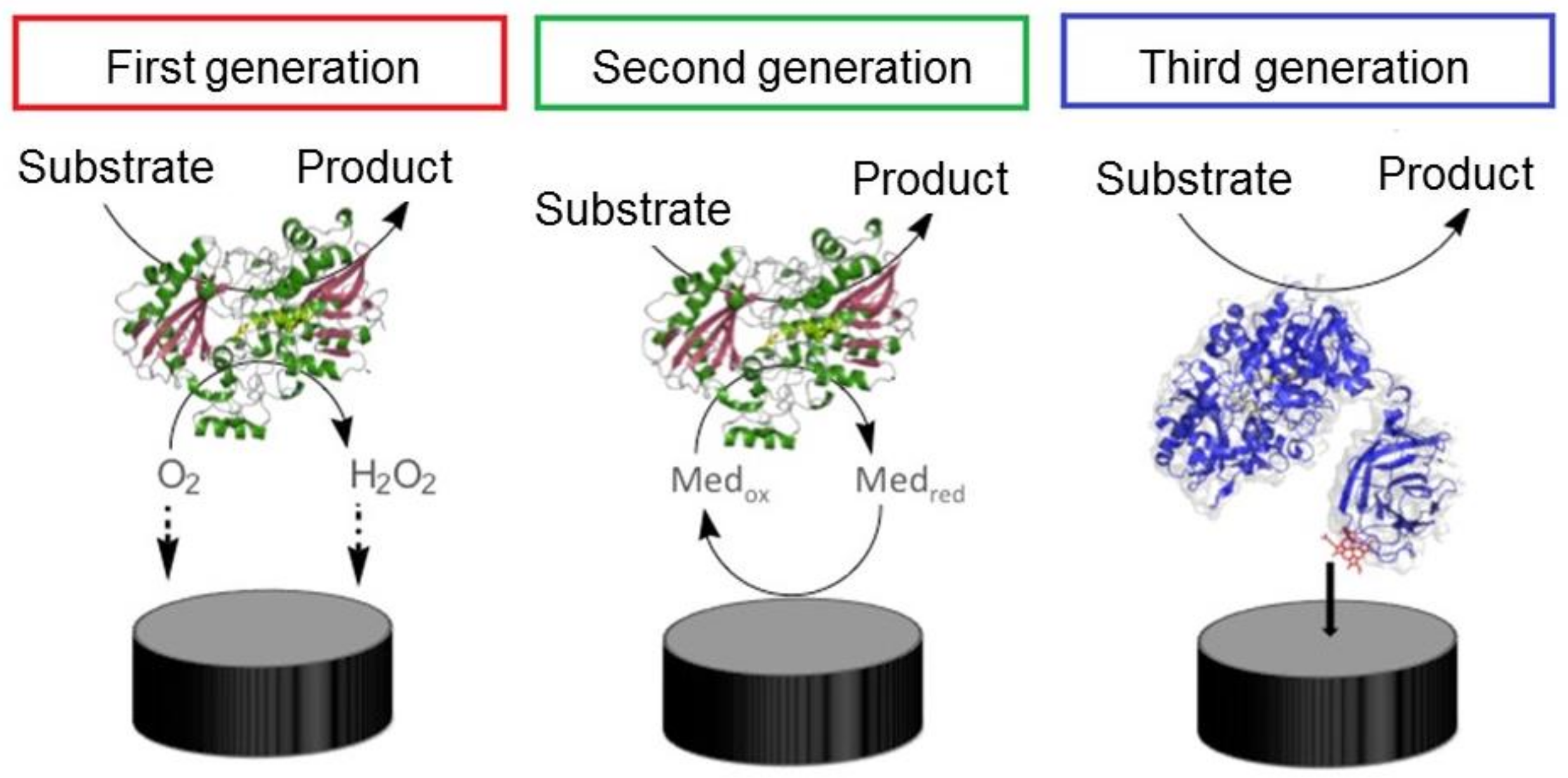 Chemosensors 05 00023 g002
