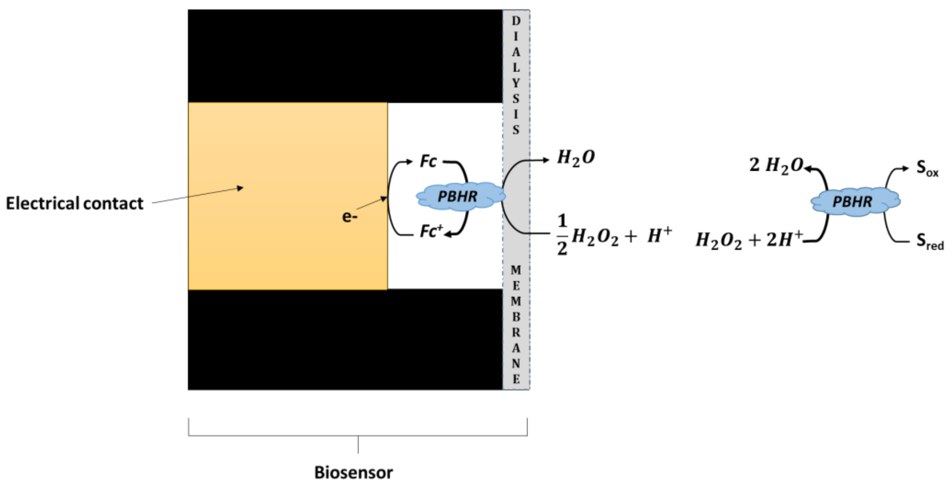 Chemosensors 05 00023 sch001