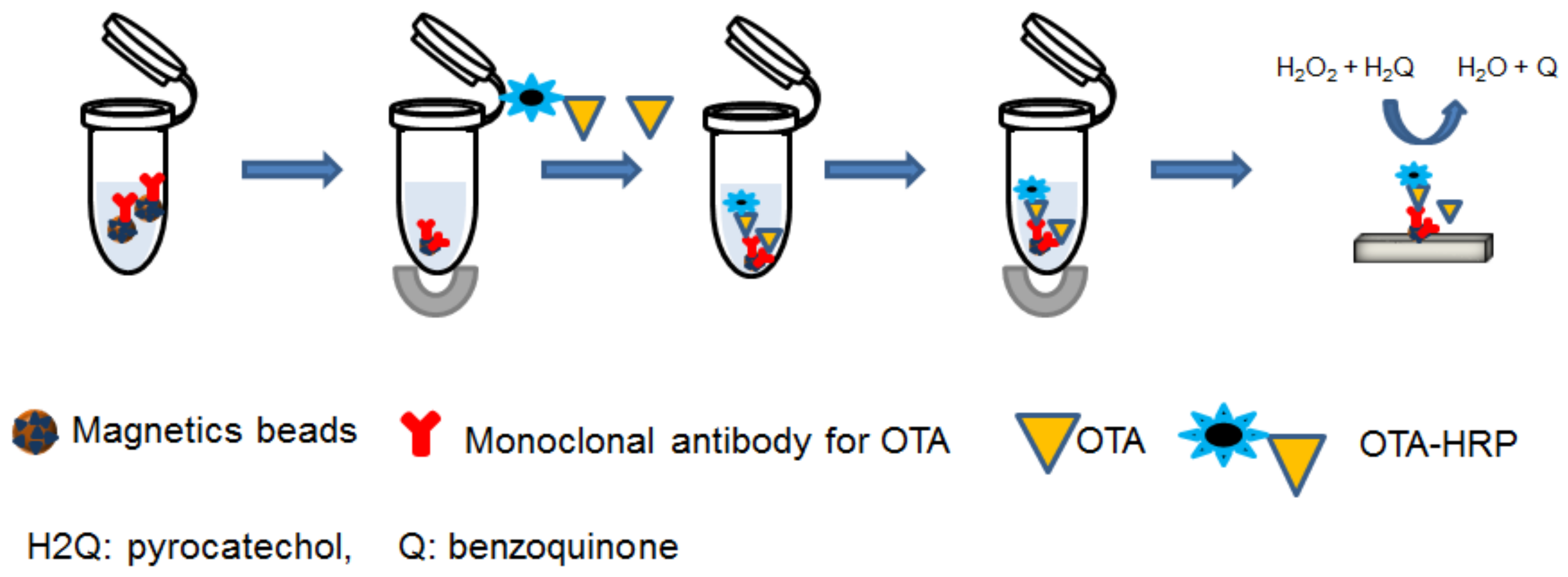 Chemosensors 05 00023 sch002