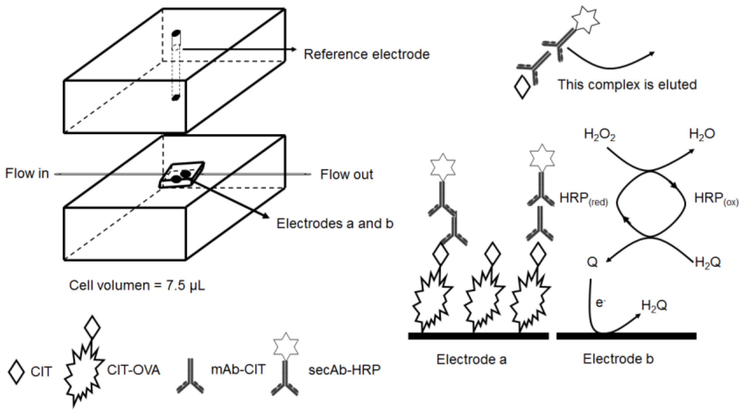 Chemosensors 05 00023 sch003