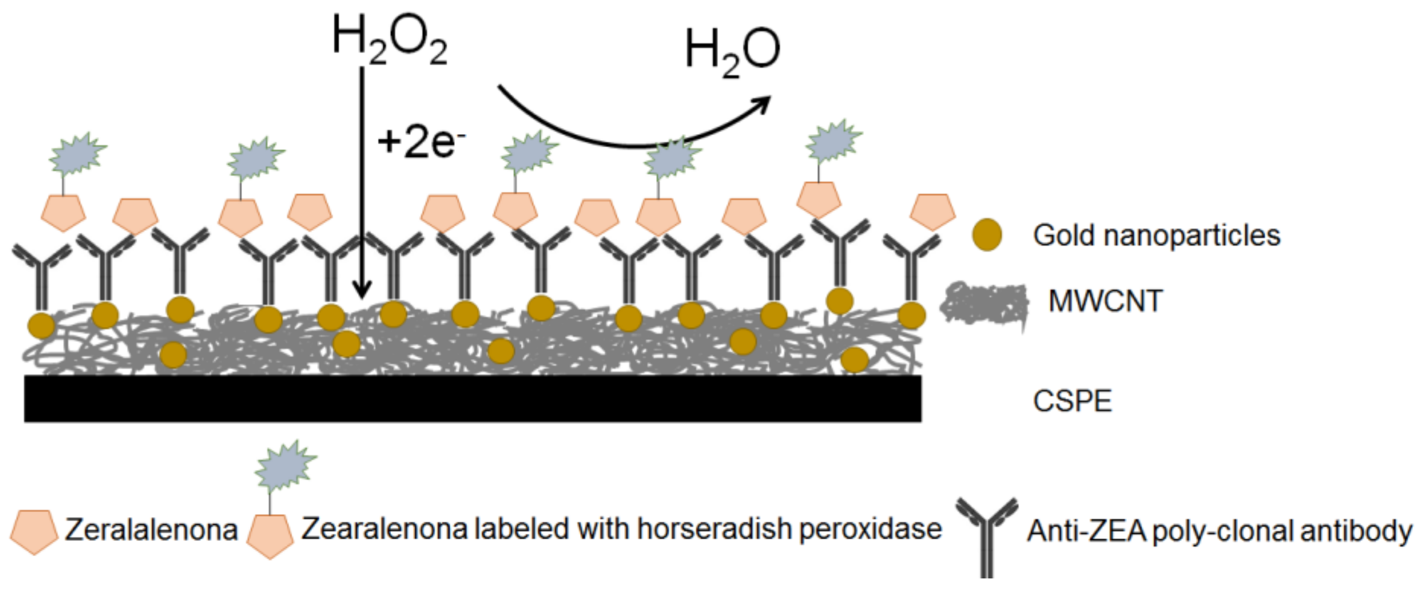 Chemosensors 05 00023 sch004