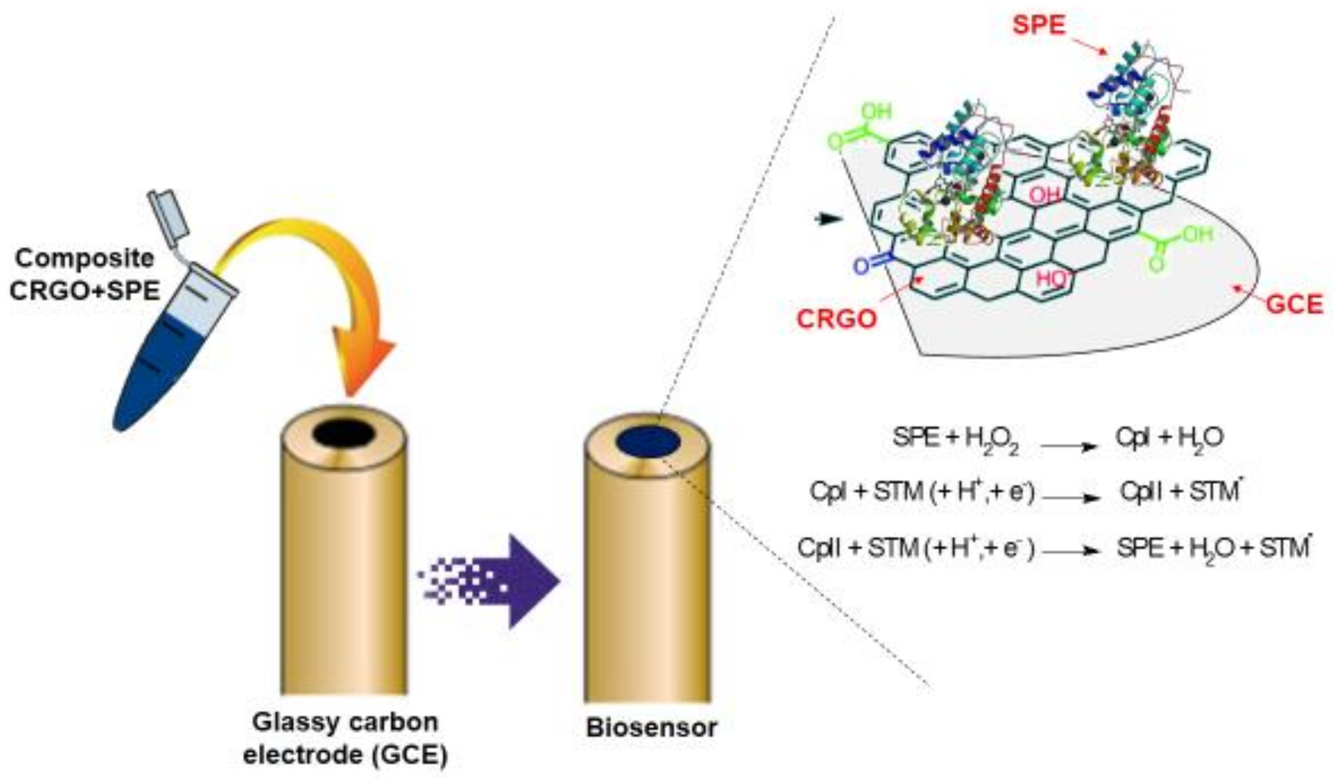 Chemosensors 05 00023 sch005